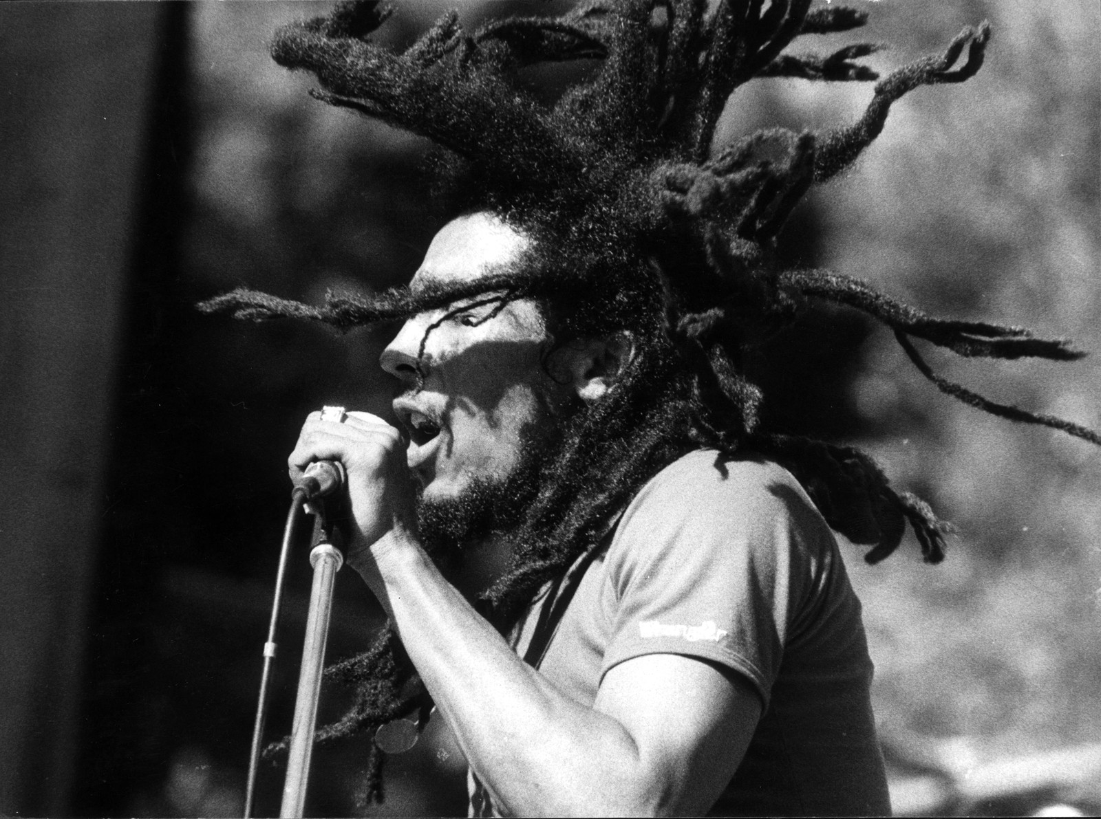 People 1600x1191 men singer celebrity monochrome music Bob Marley dreadlocks Reggae