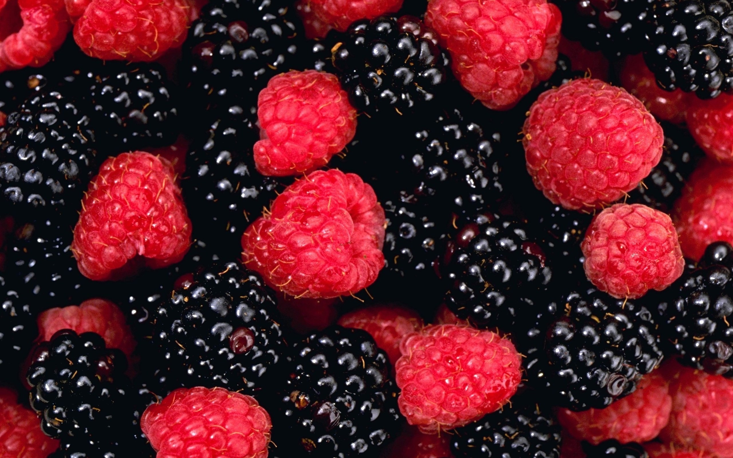 General 2560x1600 raspberries food berries fruit red black closeup macro