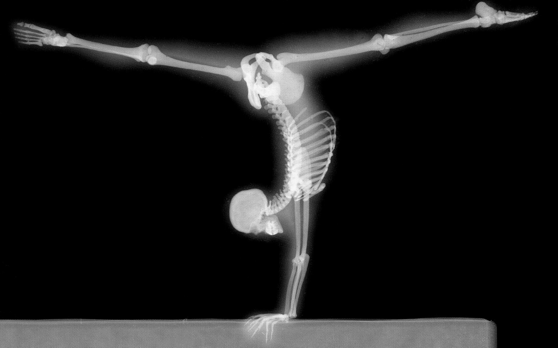 General 1920x1200 x-rays gymnastics bones handstand skeleton skull black black background splits flexible simple background digital art