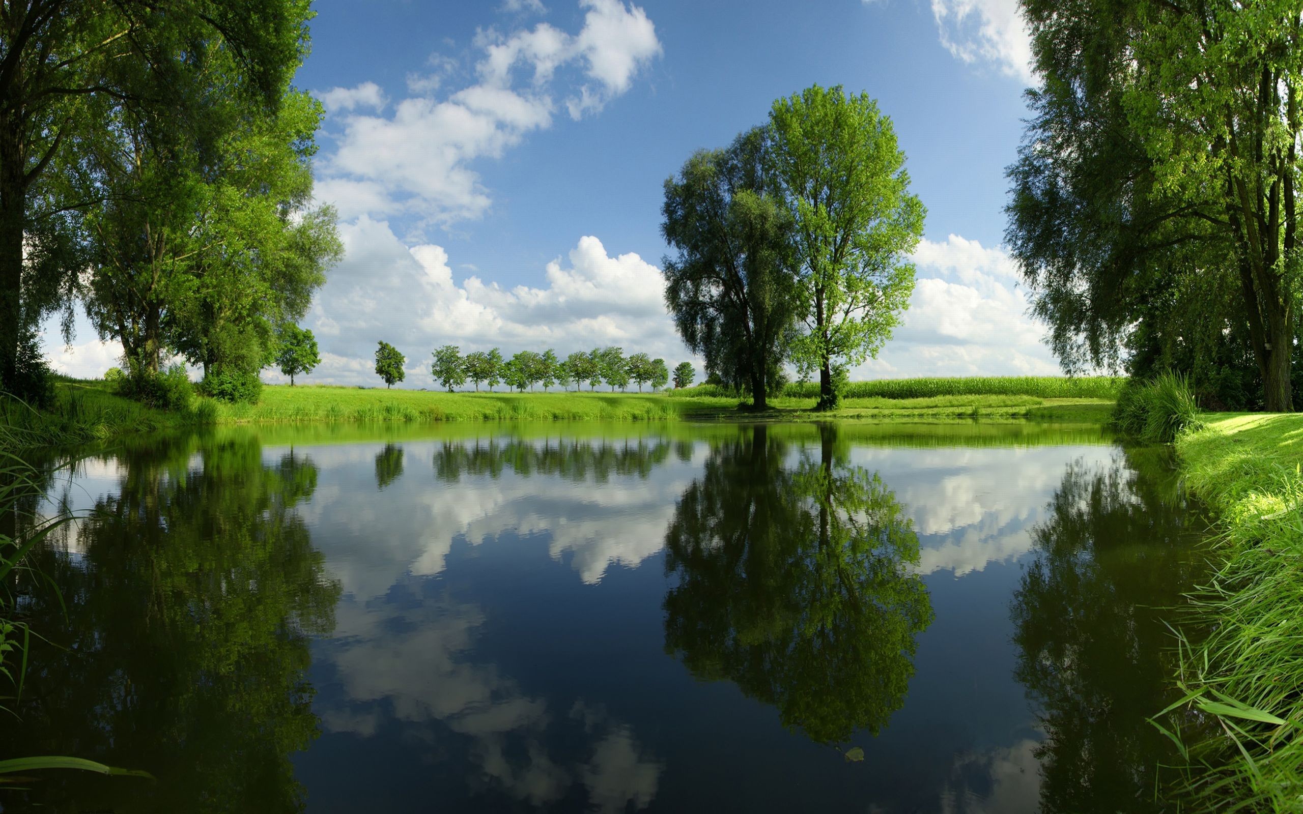 General 2560x1600 water trees outdoors reflection nature landscape
