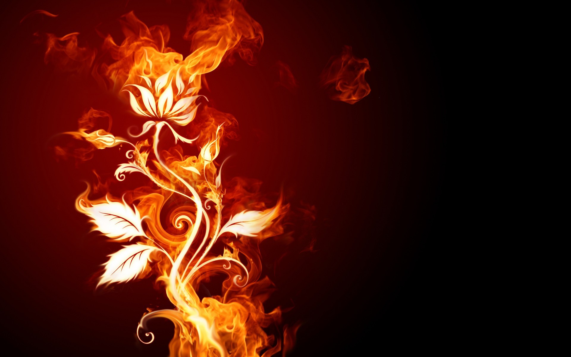 General 1920x1200 fire plants digital art Flame Painter abstract red background burning flowers