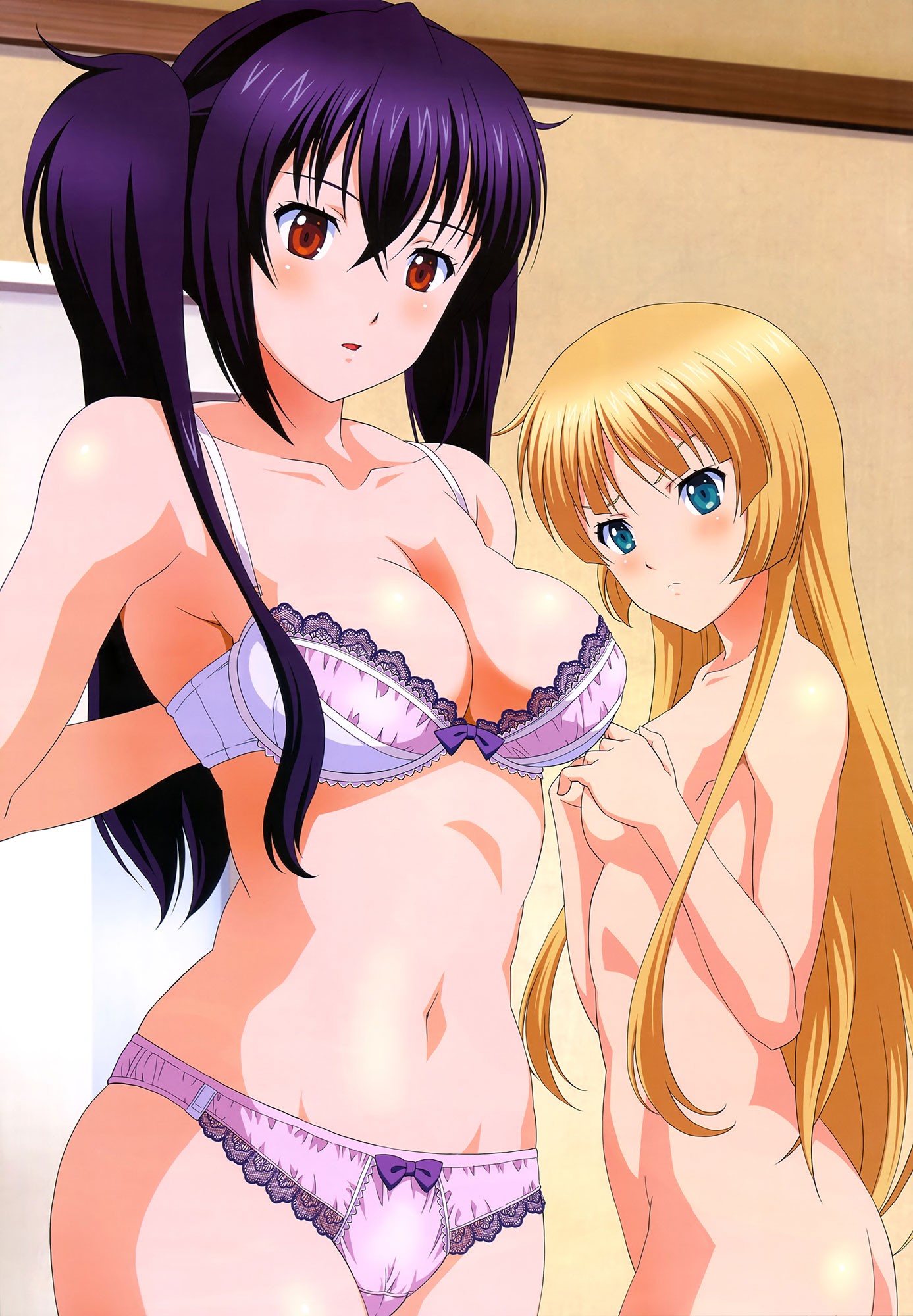 Anime 1387x2000 Isuka Shimazu Sakuya Shimazu Suseri anime anime girls boobs purple hair red eyes bra belly panties lingerie blonde aqua eyes two women
