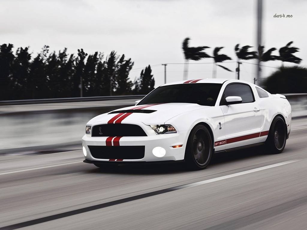 General 1024x768 car Ford Mustang Ford Mustang Shelby American cars muscle cars racing stripes Ford Shelby white cars vehicle Ford Mustang S-197 II