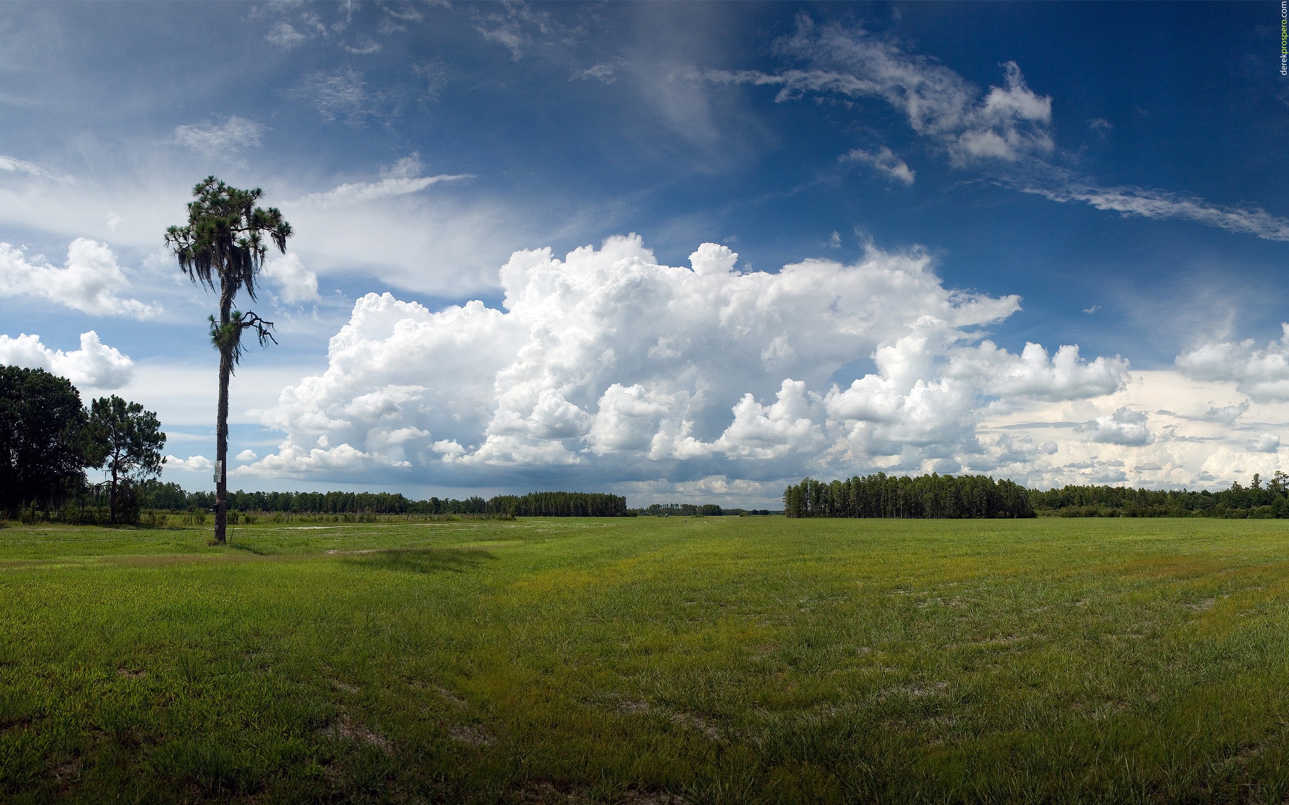 General 2560x1600 landscape field trees clouds nature sky