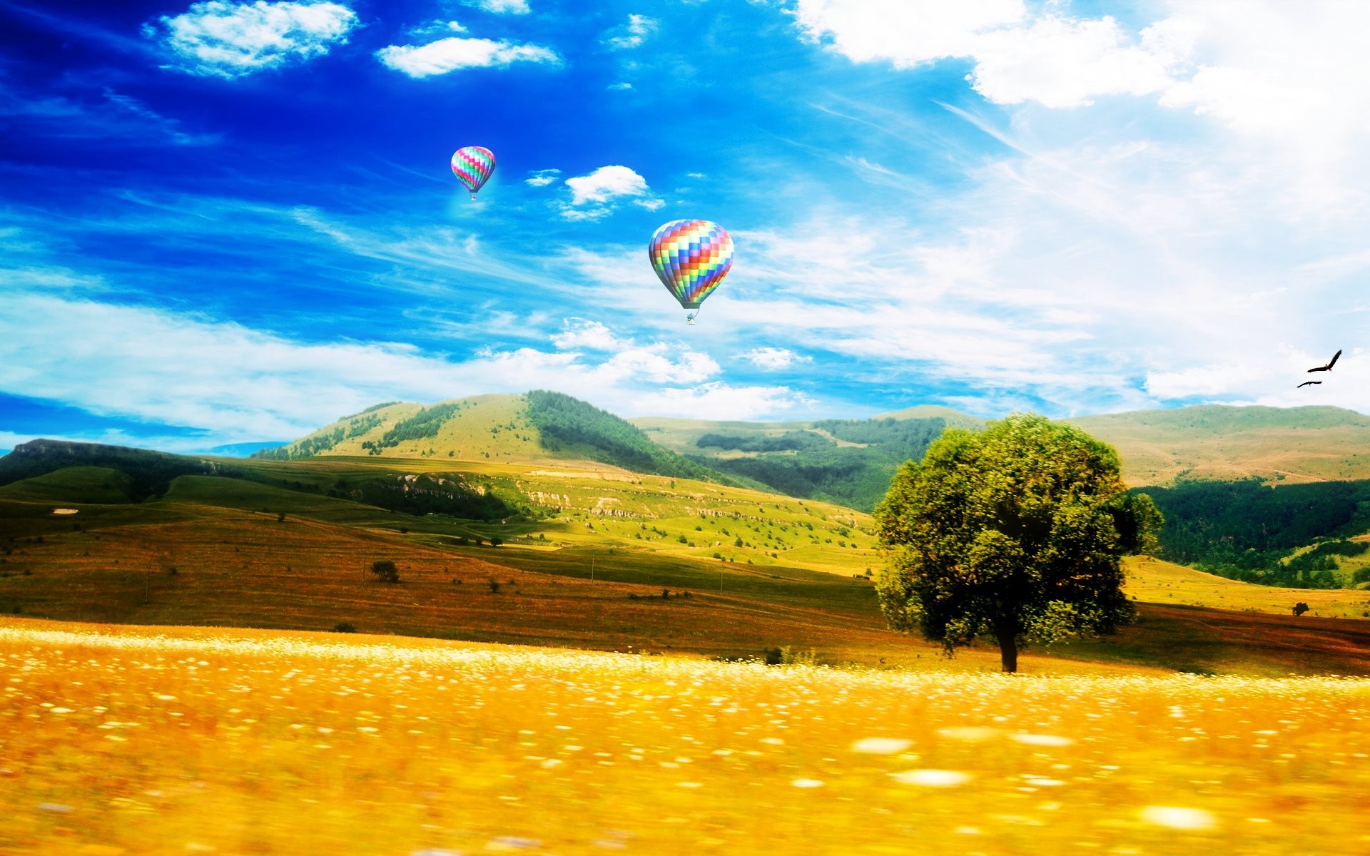 General 1920x1200 landscape sky hot air balloons nature vehicle field