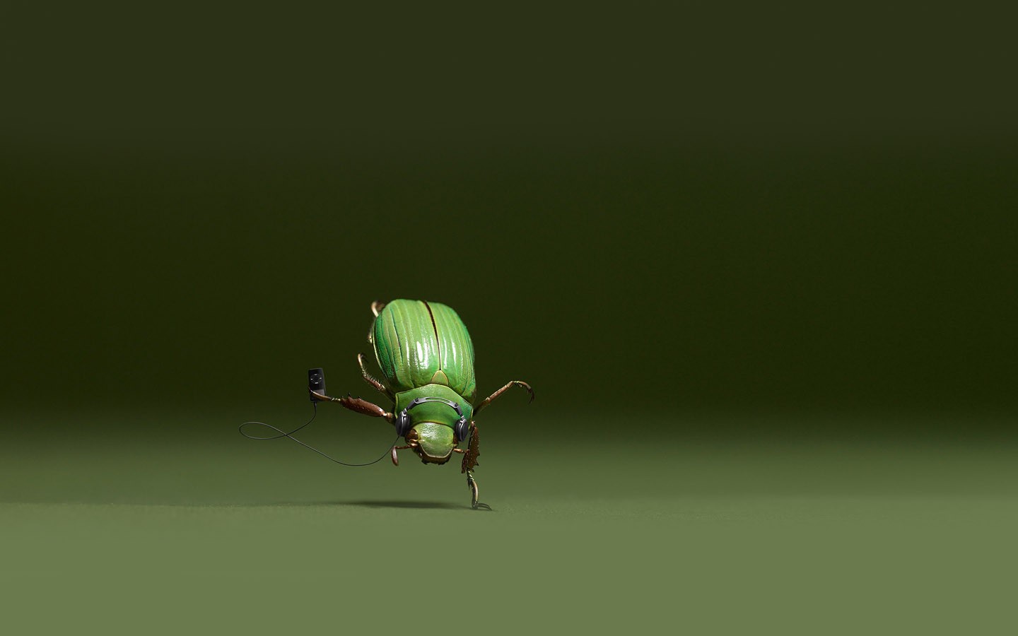 General 1440x900 insect digital art CGI