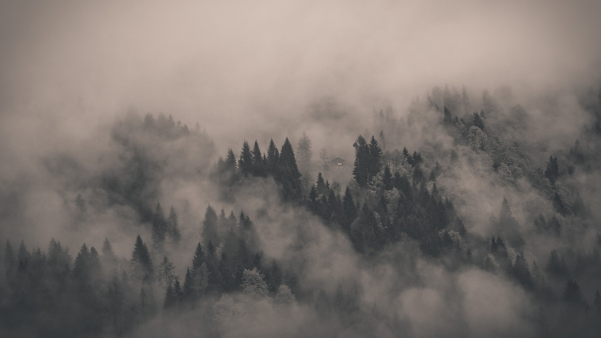 General 1920x1080 mist clouds trees dark landscape nature forest pine trees spruce cabin mountains sepia monochrome