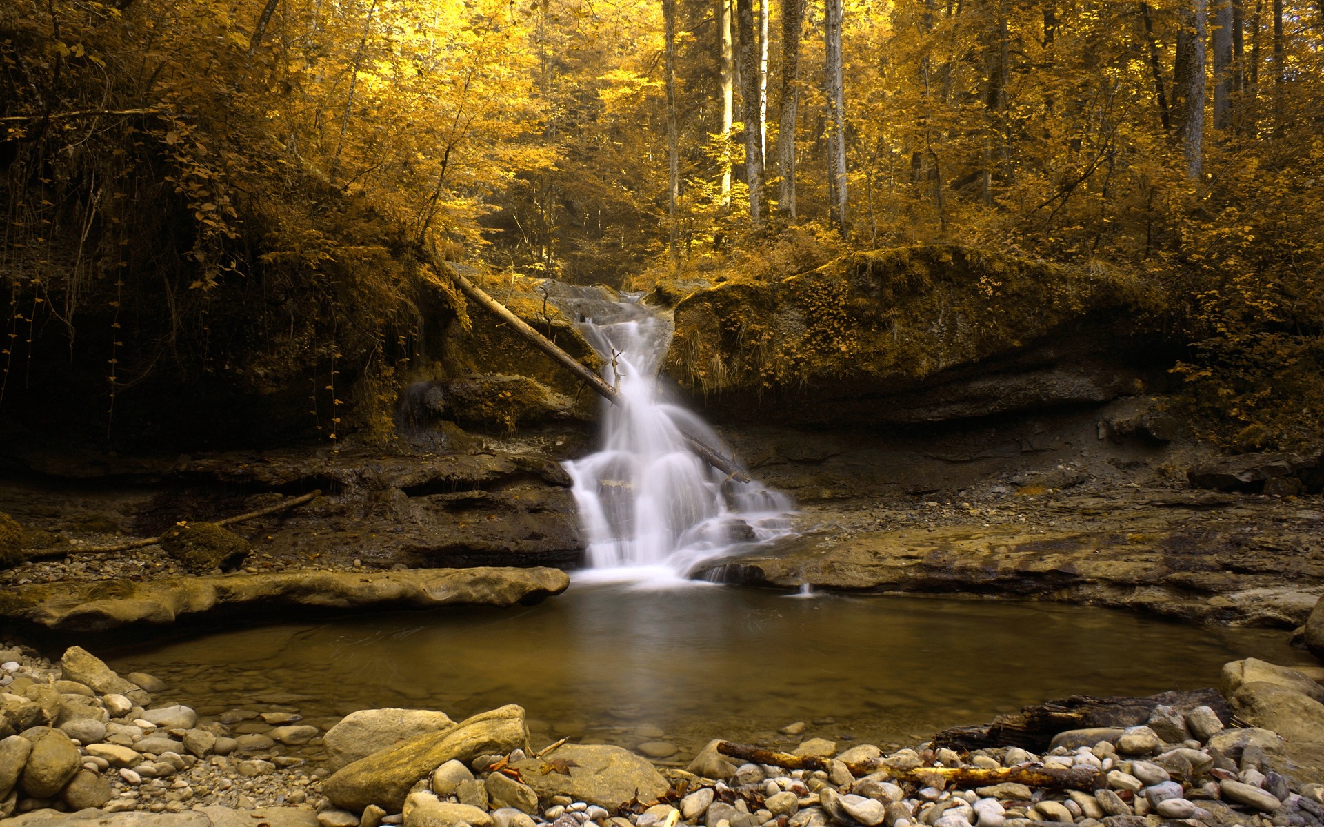 General 1920x1200 nature creeks waterfall pond forest landscape fall