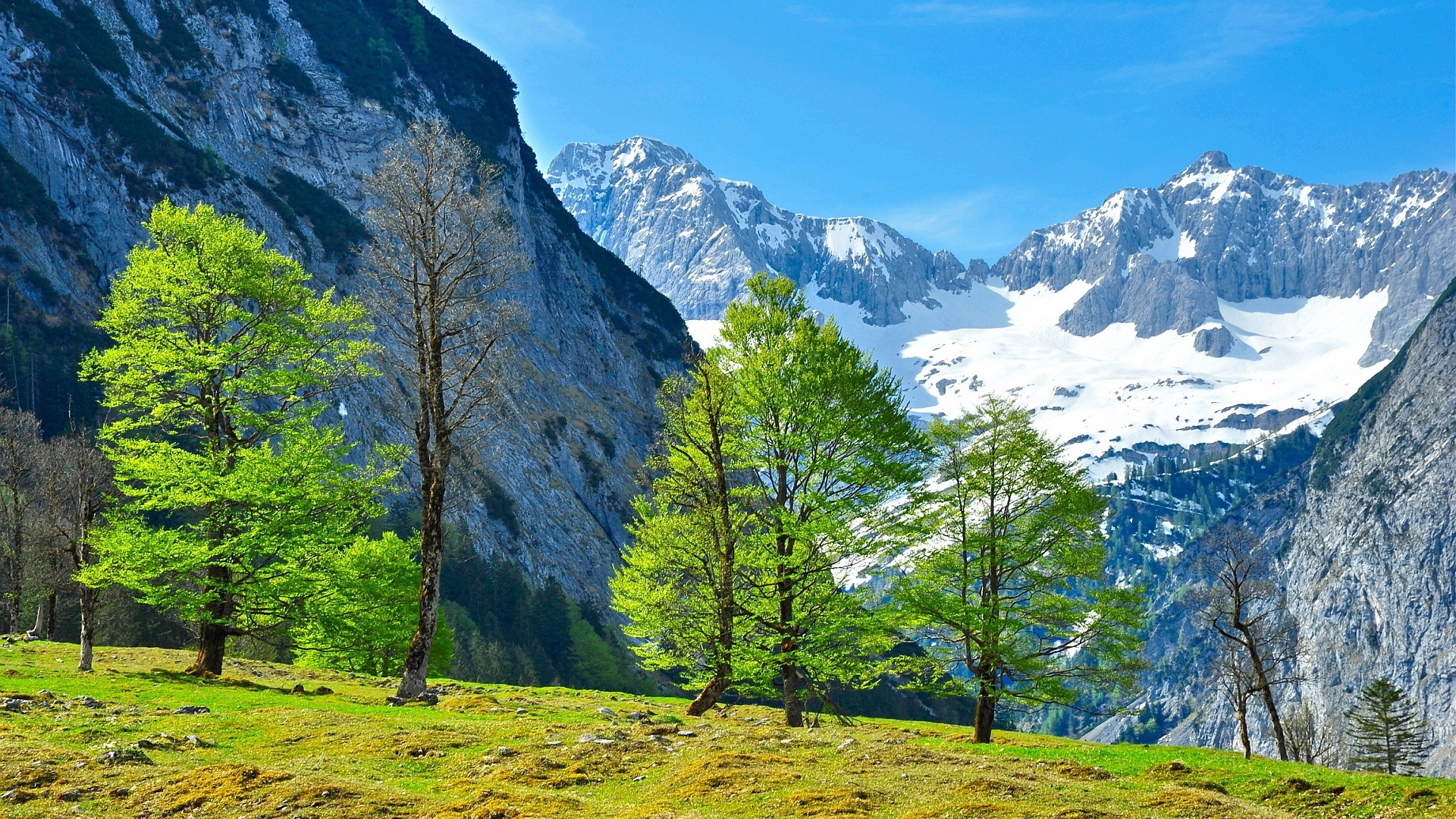 General 1920x1080 landscape nature Alps trees mountains outdoors