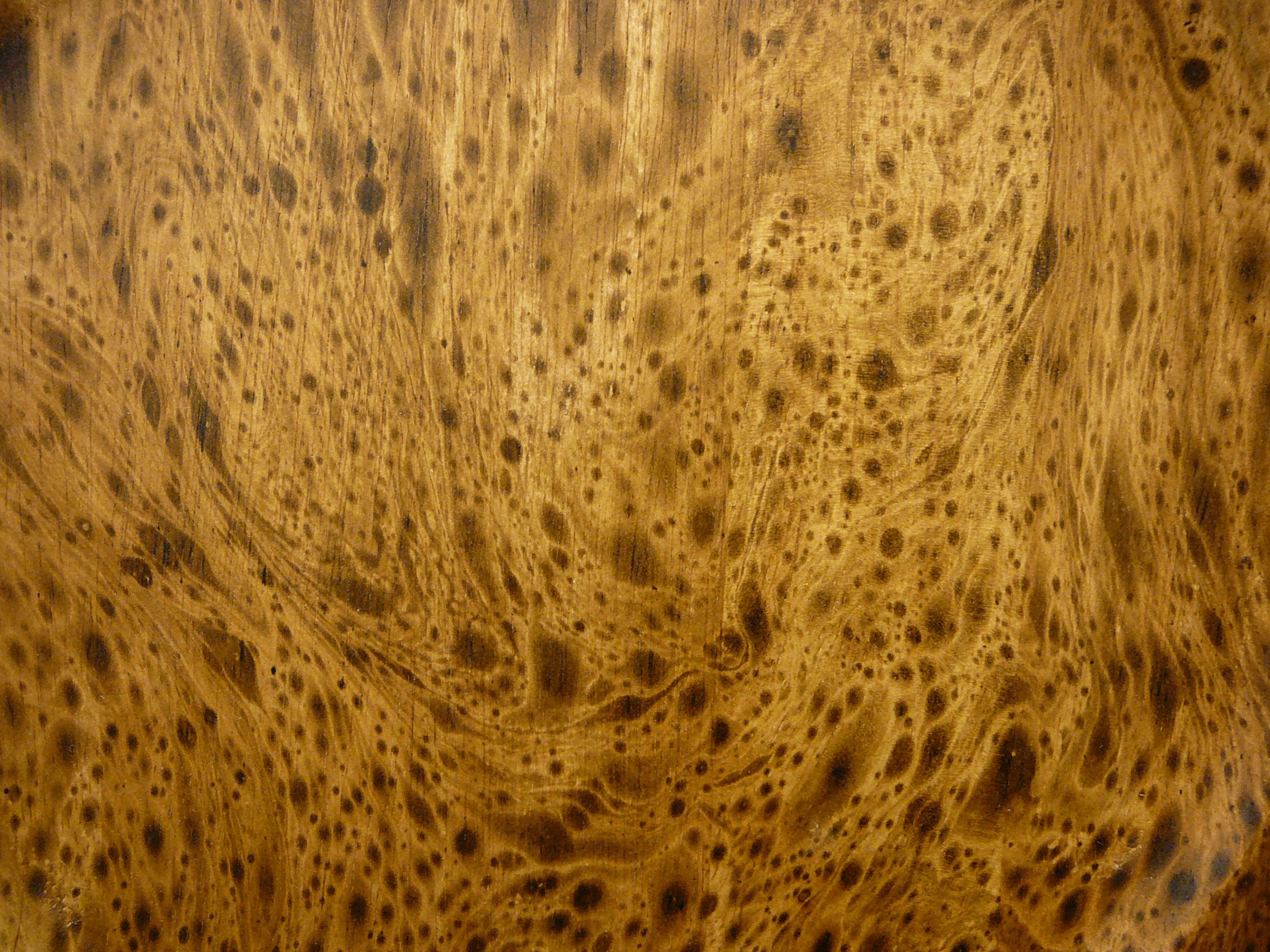 General 2560x1920 digital art wood texture brown