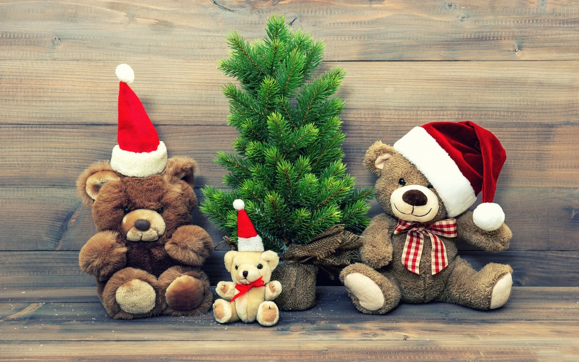 General 1920x1200 teddy bears Christmas fir plush toy Santa hats