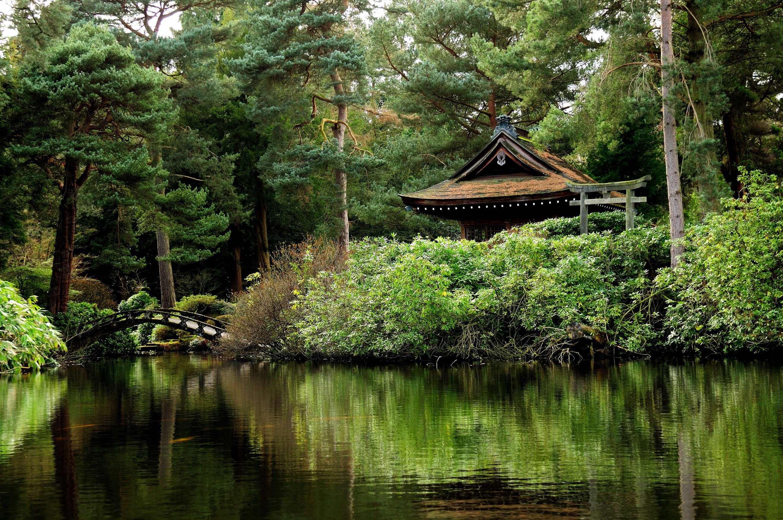 General 2635x1750 Japanese Garden pond bridge pavilion trees garden plants