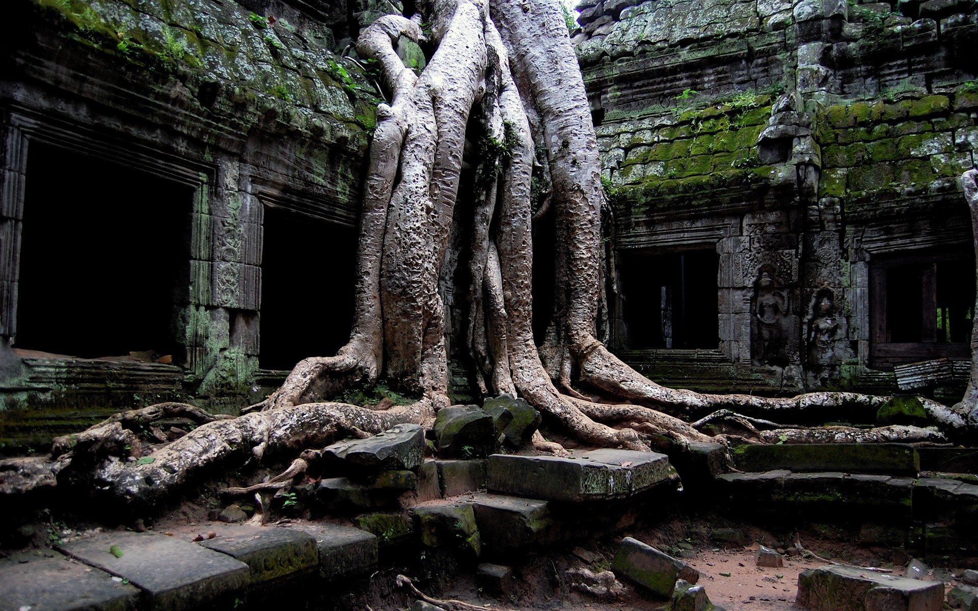 General 1920x1200 roots Cambodia temple old plants Angkor Wat ruins trees stones