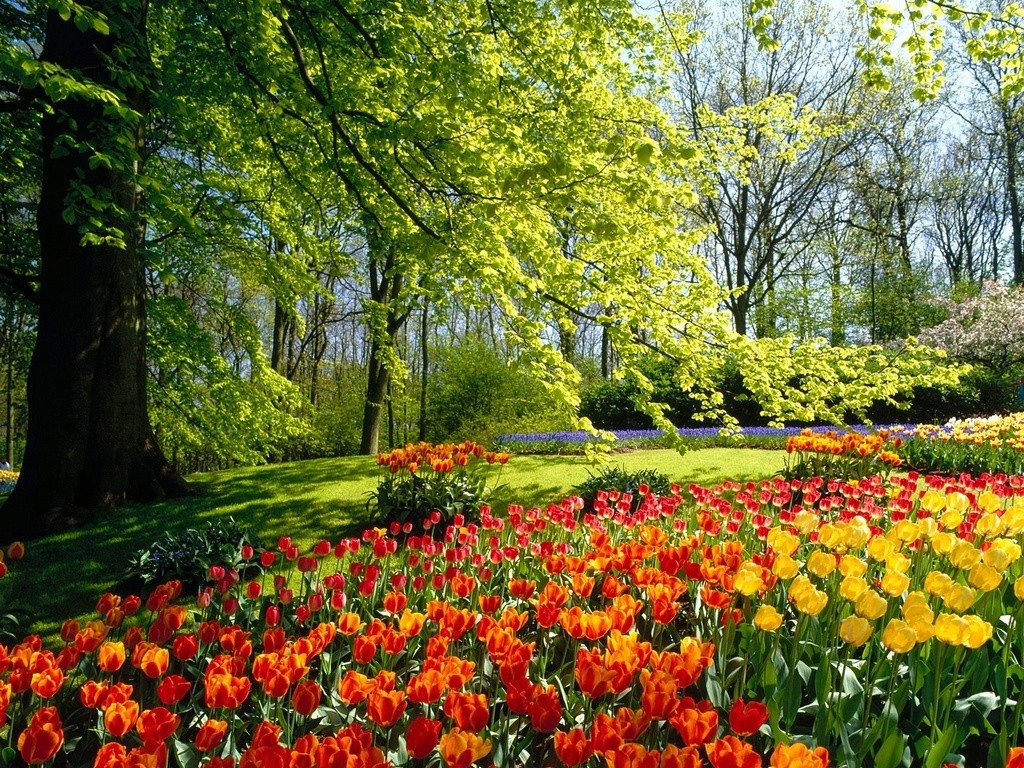 General 1024x768 park garden flowers trees plants