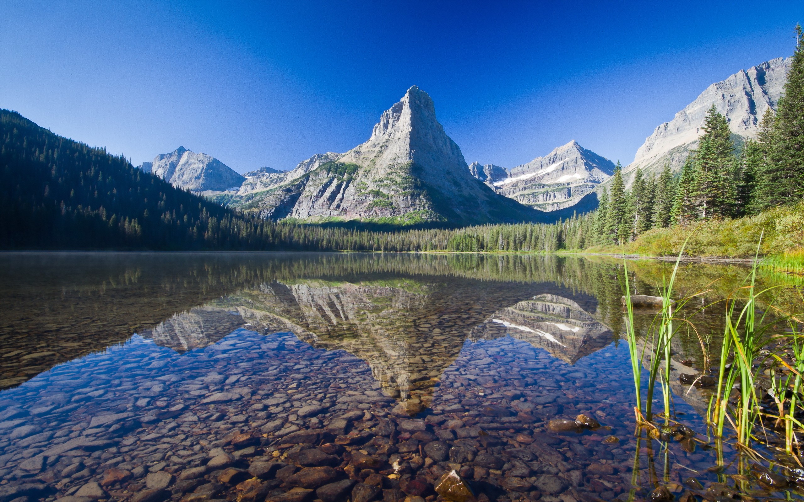General 2560x1600 nature landscape mountains Glacier National Park Montana USA lake trees forest snow stones grass reflection