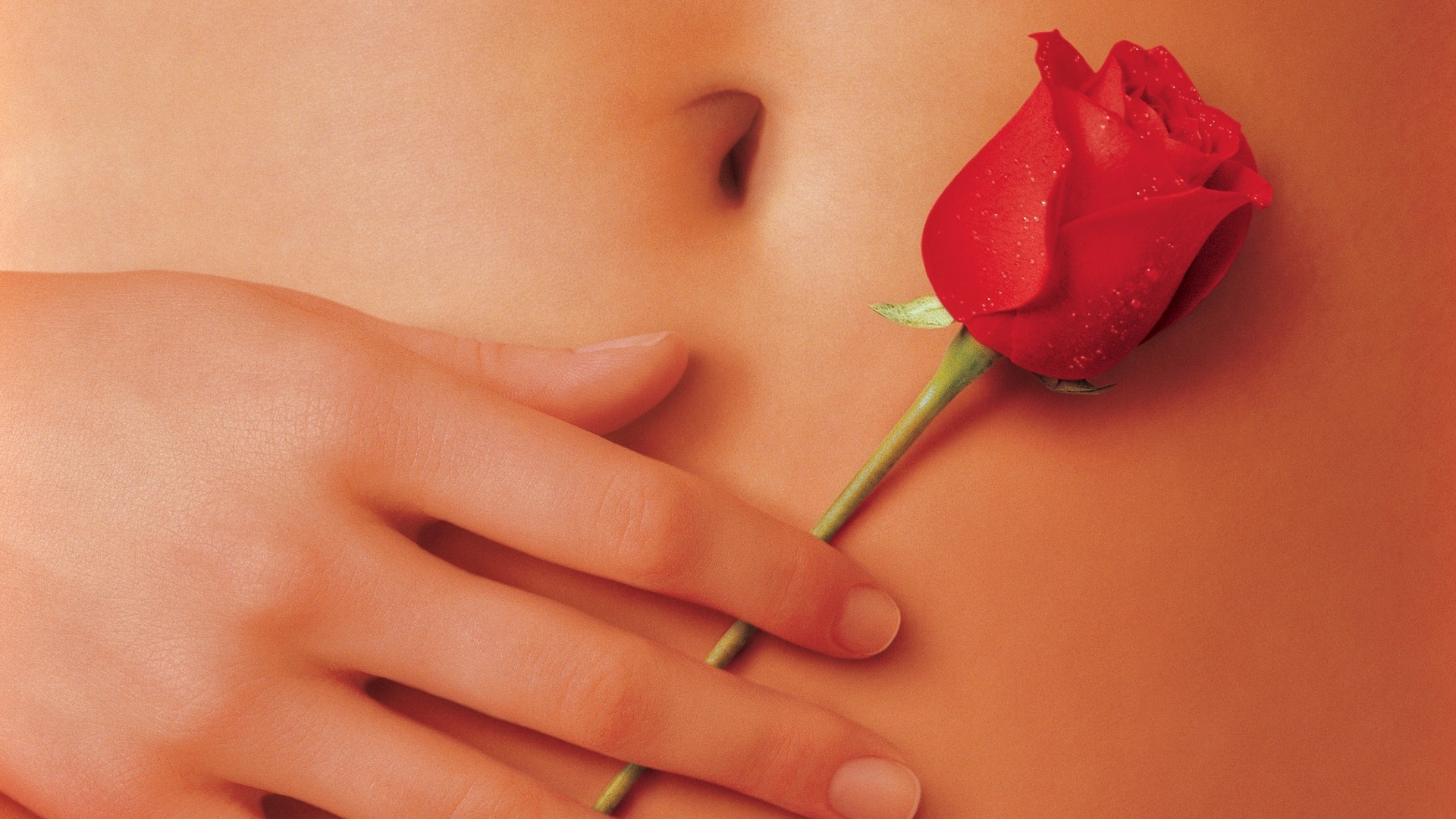 People 1920x1080 American Beauty movies hands rose flowers belly button red flowers belly plants women
