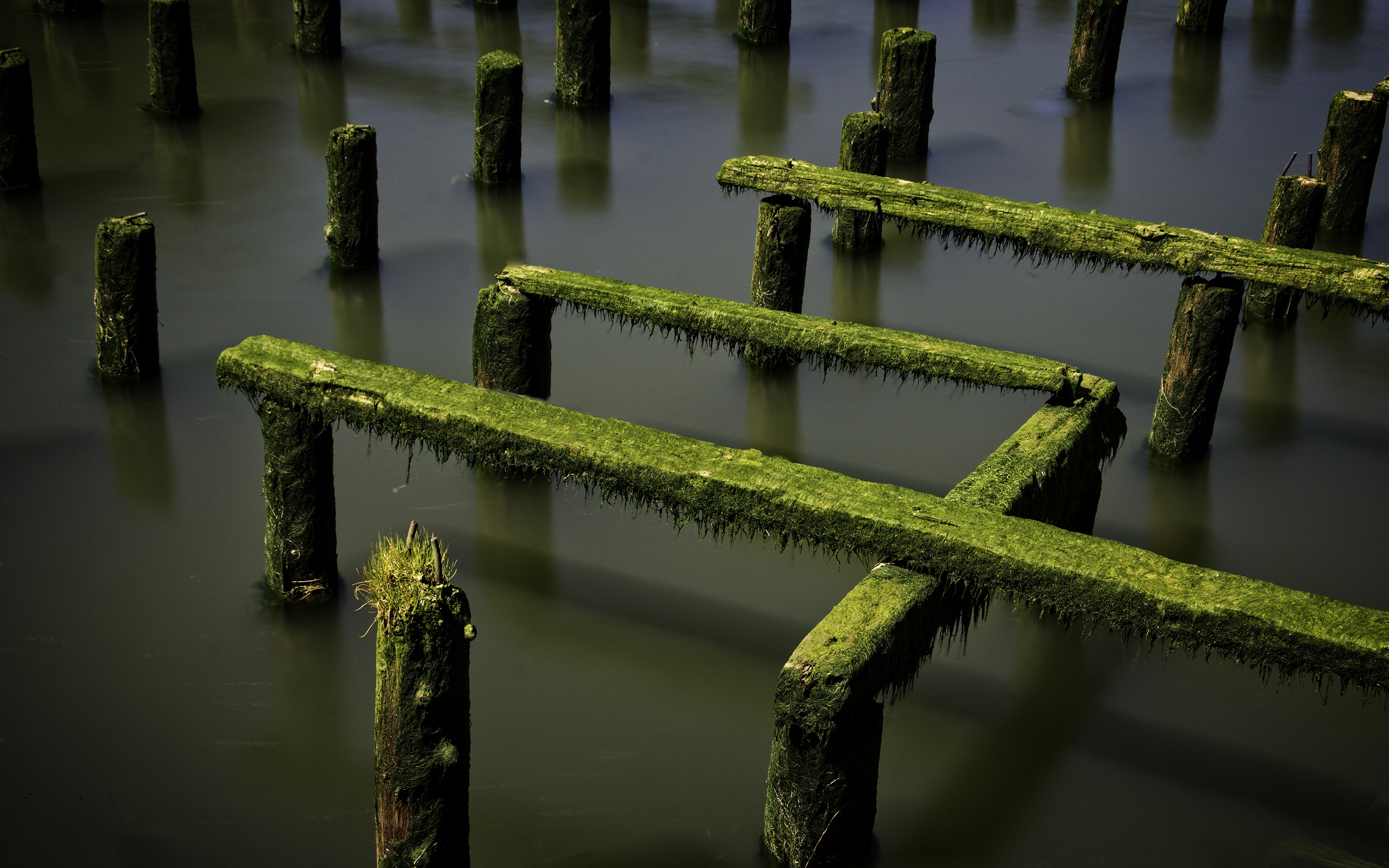 General 2560x1600 nature water long exposure wood moss shadow pier ruins photography
