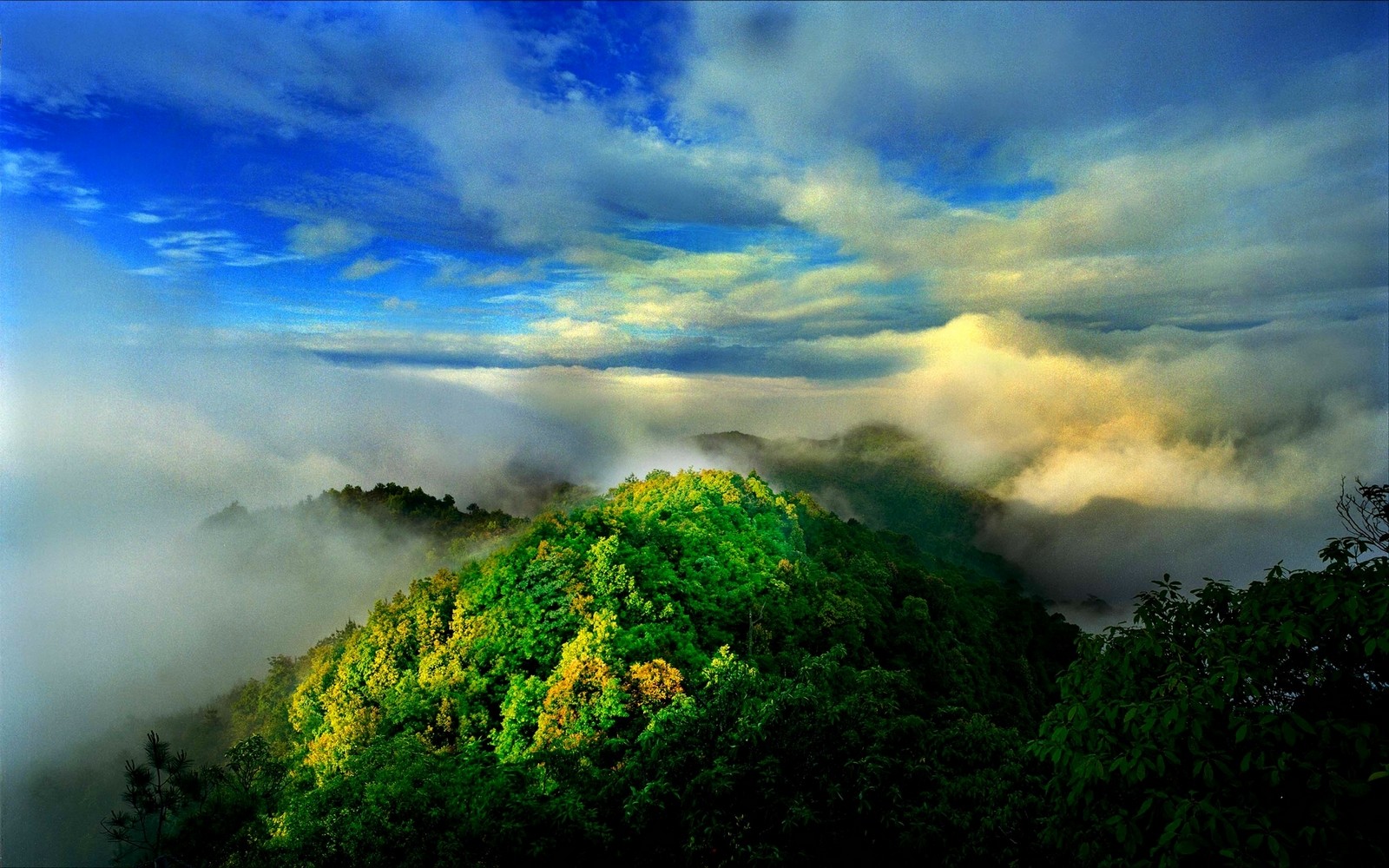 General 1600x1000 nature landscape mist mountains forest clouds
