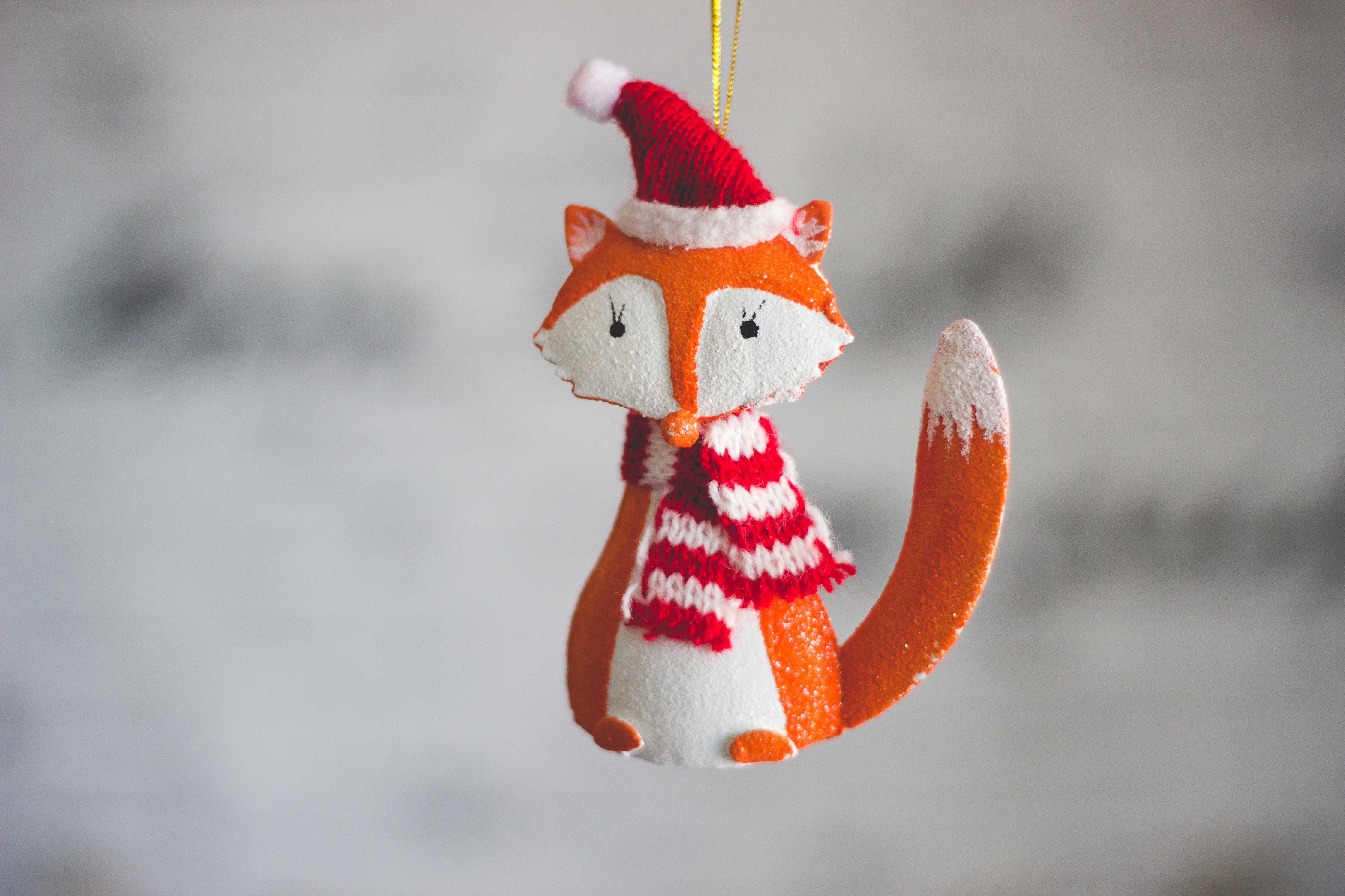 General 4482x2988 toys fox animals Christmas ornaments  Santa hats closeup