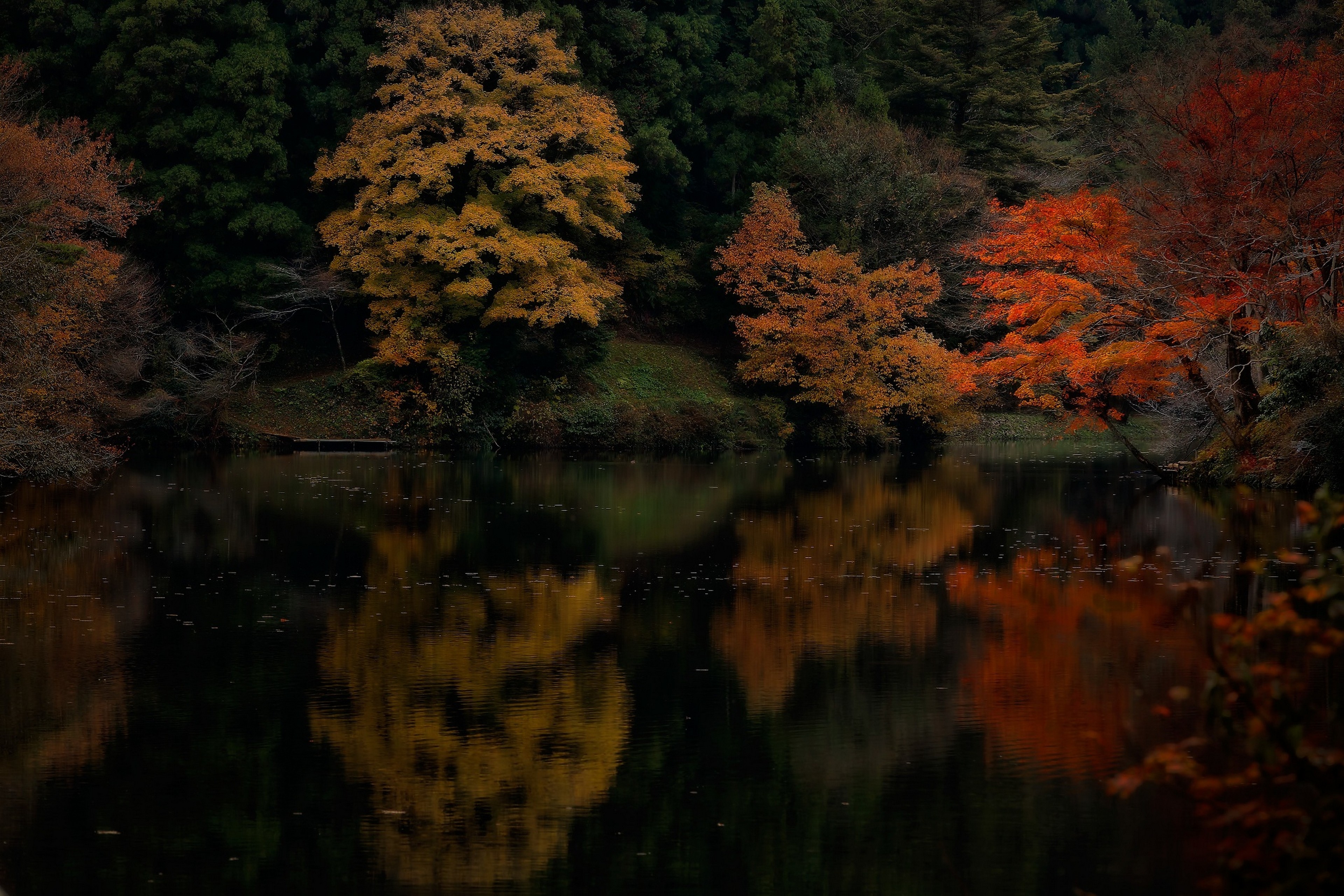 General 3840x2560 nature fall lake forest water reflection trees maple leaves colorful low light