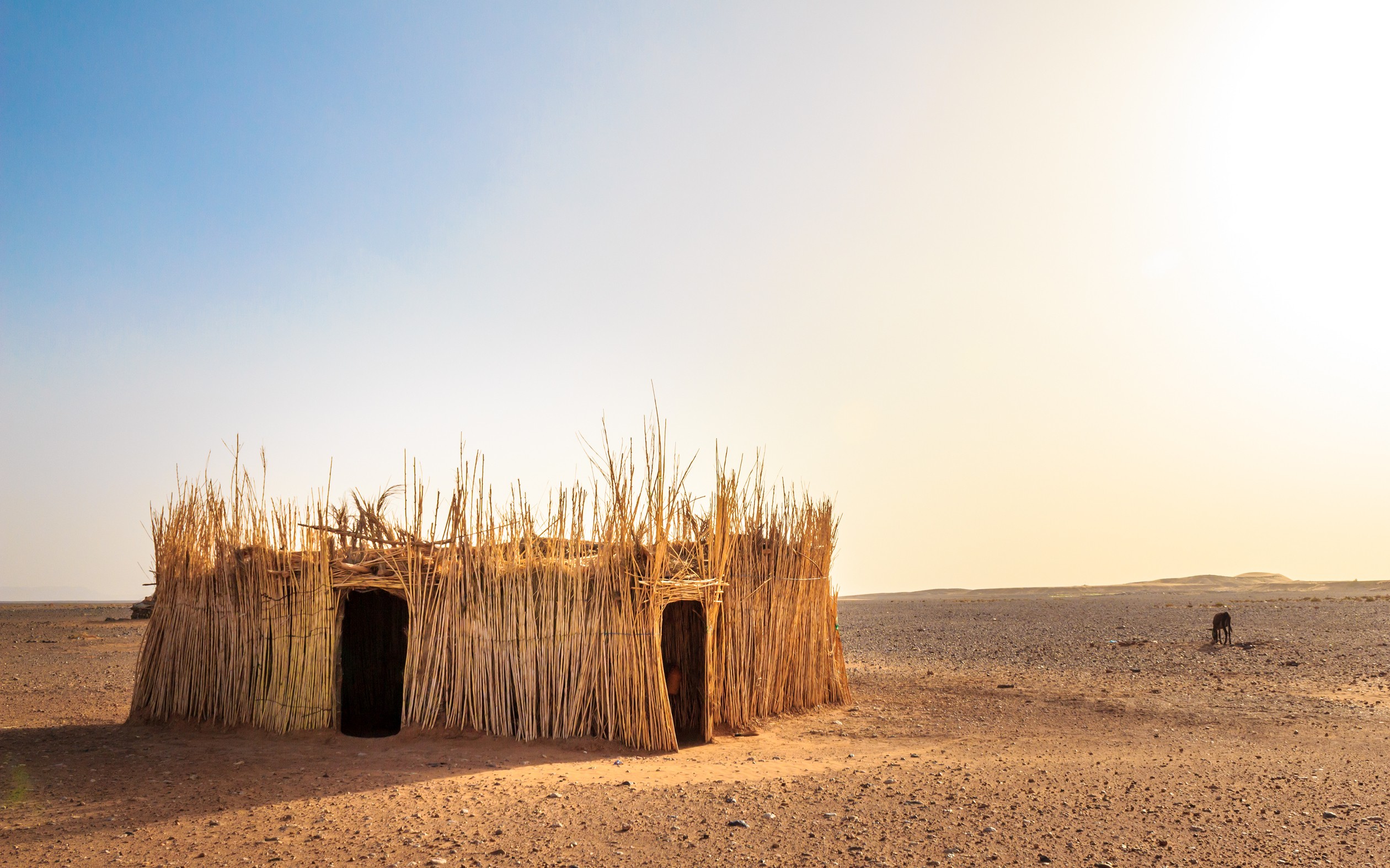 General 2520x1575 landscape Sahara desert hut sand clear sky Africa