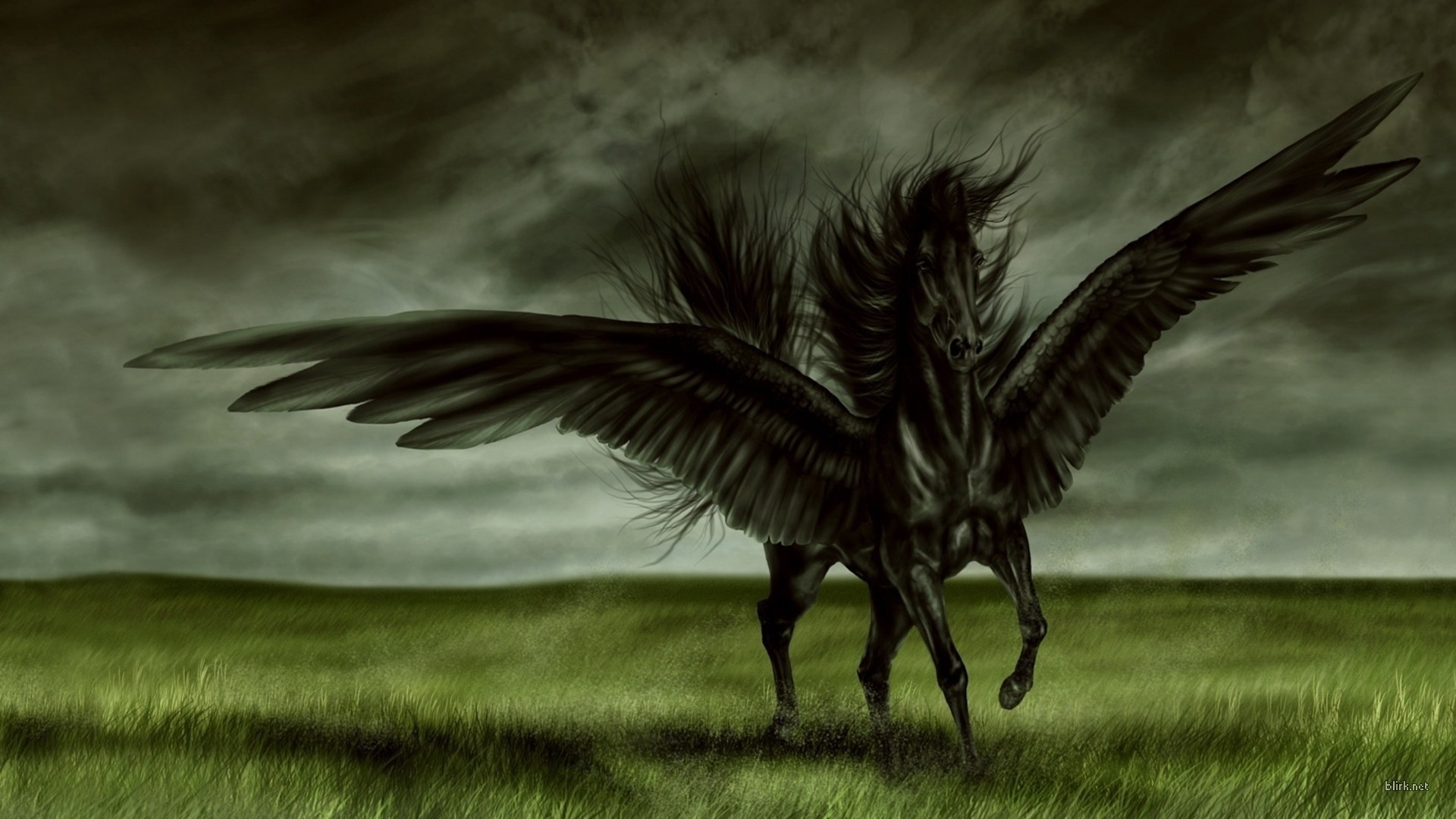 General 1920x1080 fantasy art wings Pegasus creature artwork digital art watermarked
