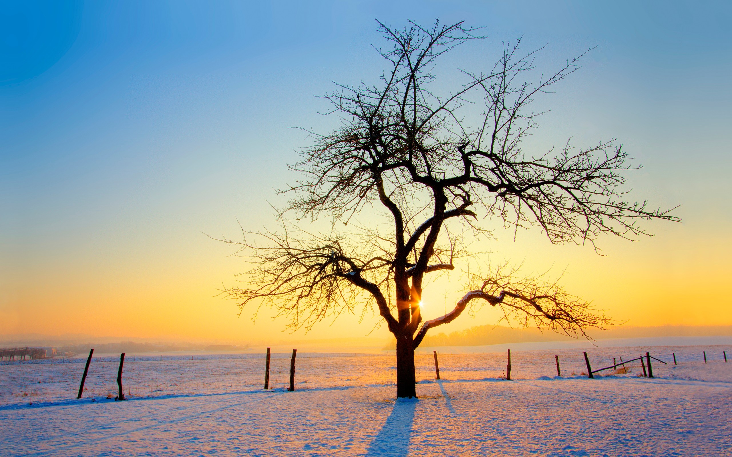 General 2560x1600 nature landscape sunlight winter snow trees cold ice field