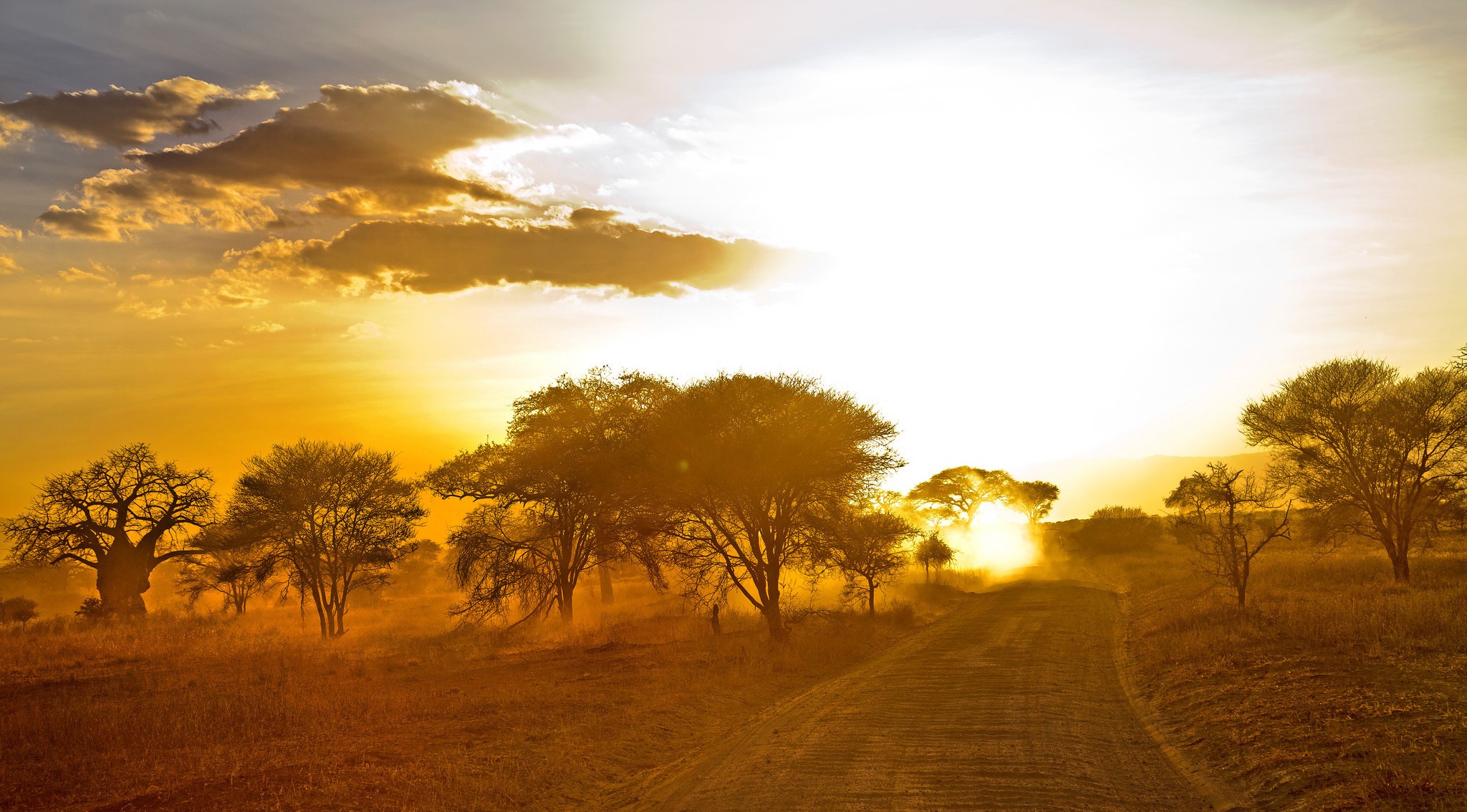 General 2048x1134 landscape Africa savannah trees dirt road sunset nature sky sunlight clouds
