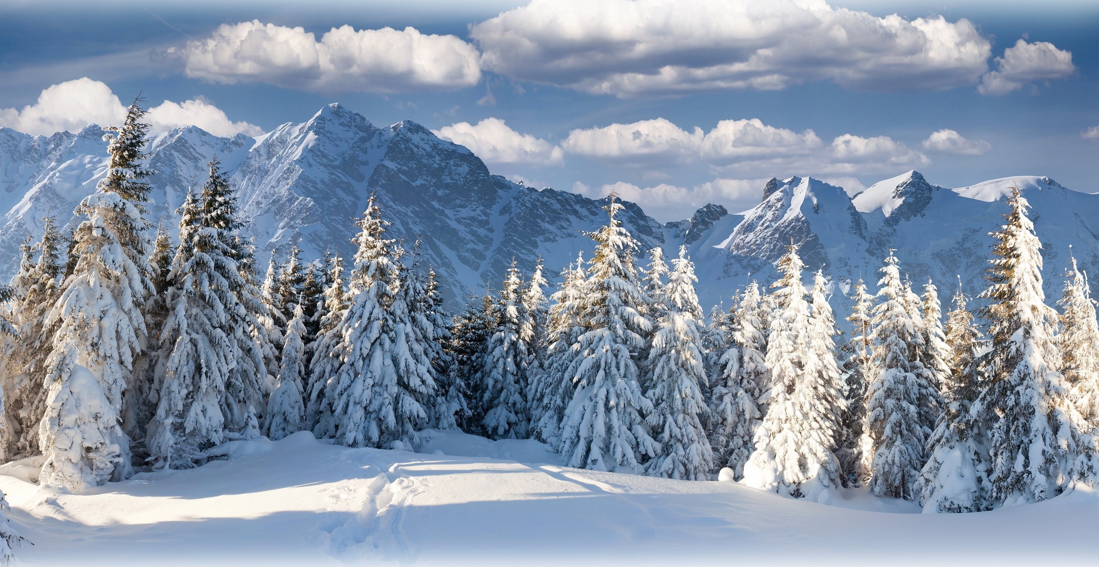 General 3500x1808 winter landscape nature snow trees mountains forest snowy peak