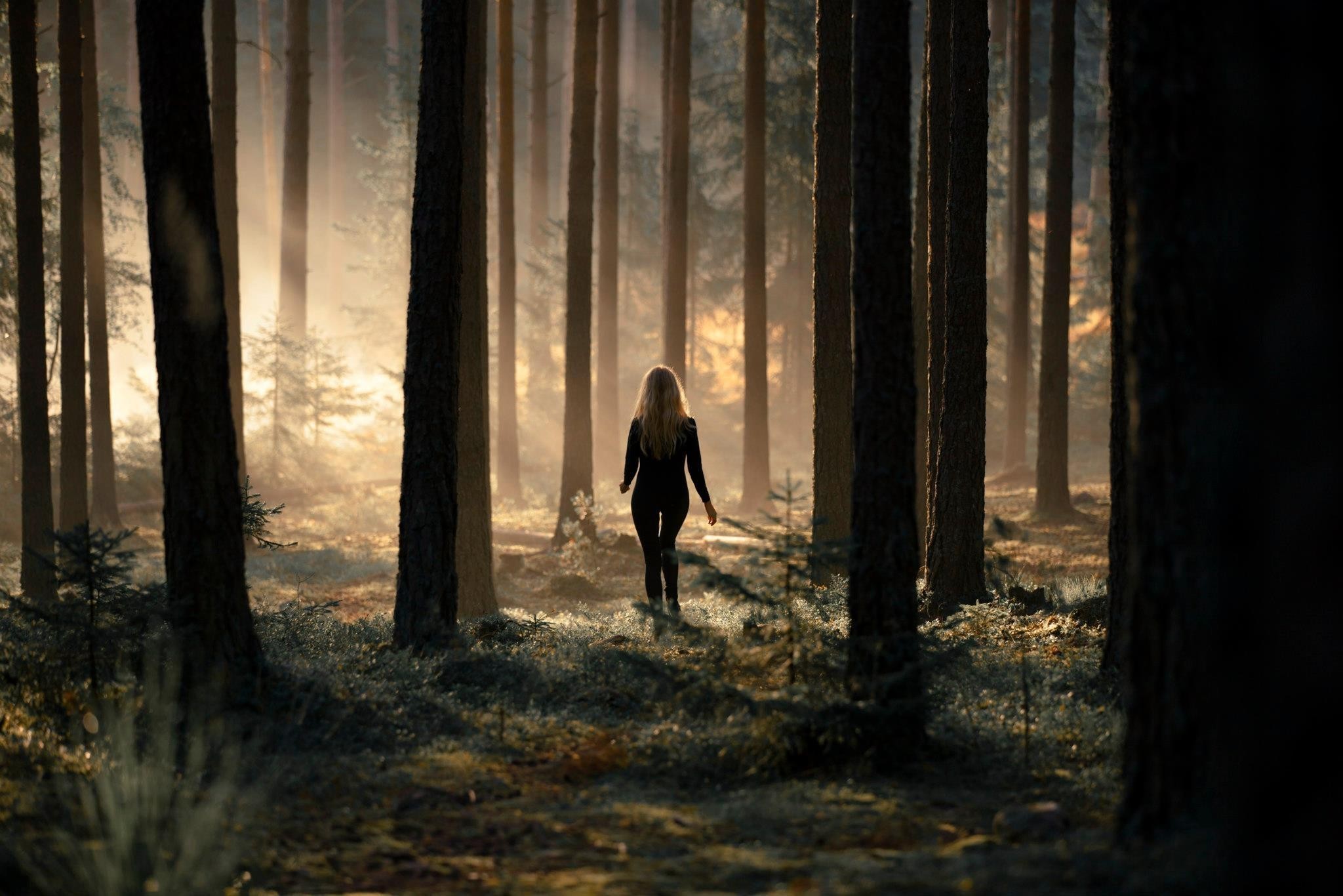 People 2048x1366 forest women trees mist sunlight plants blonde walking the gap green brown pine trees black clothing shrubs atmosphere nature solice women outdoors