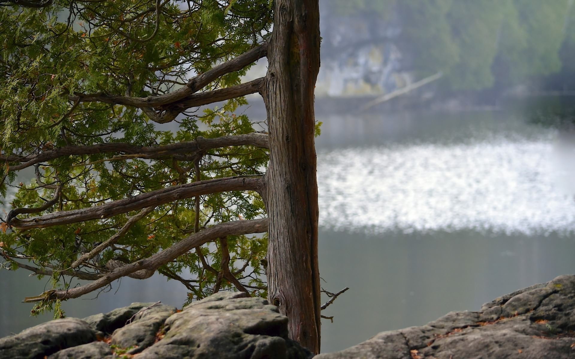 General 1920x1200 water rocks trees lake