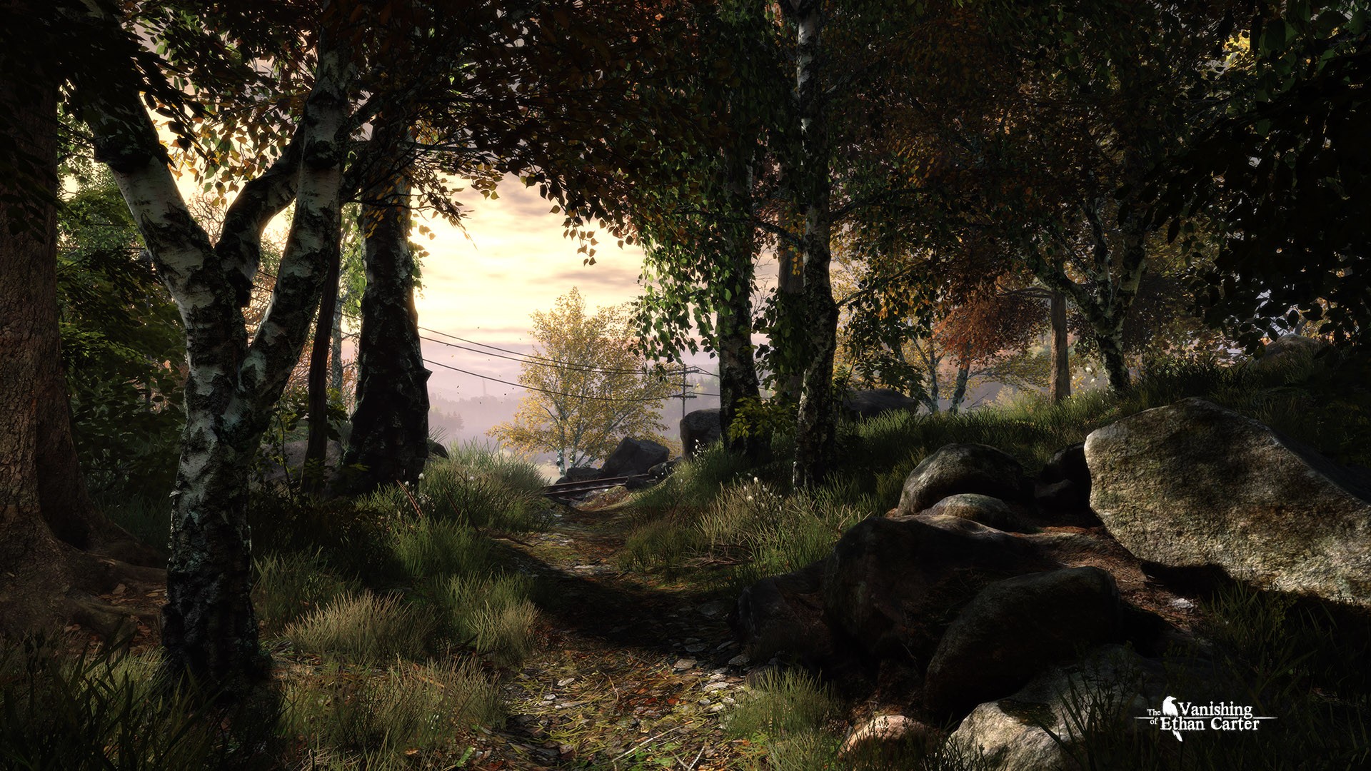 General 1920x1080 The Vanishing of Ethan Carter video games forest screen shot PC gaming