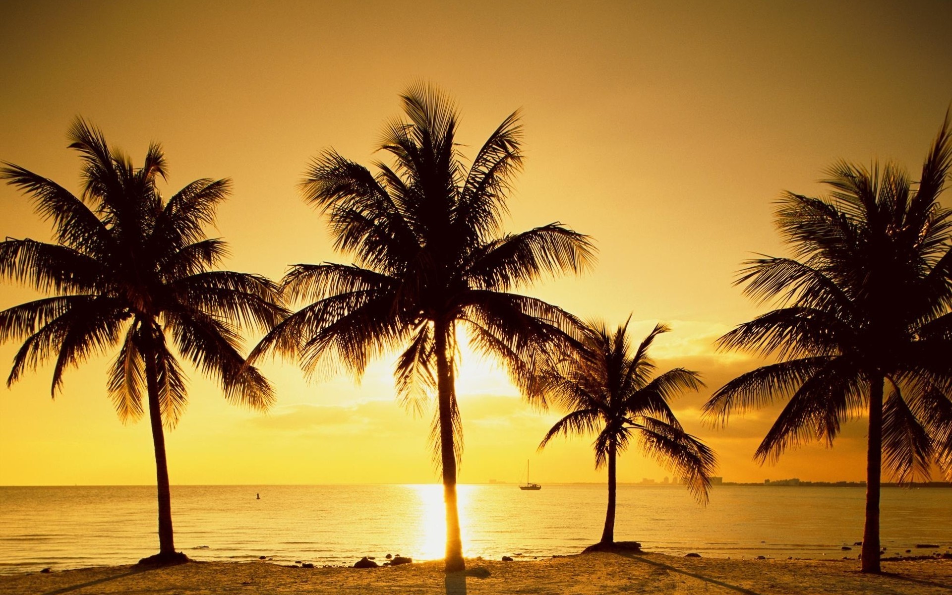 General 1920x1200 beach palm trees sunset low light sea yacht water