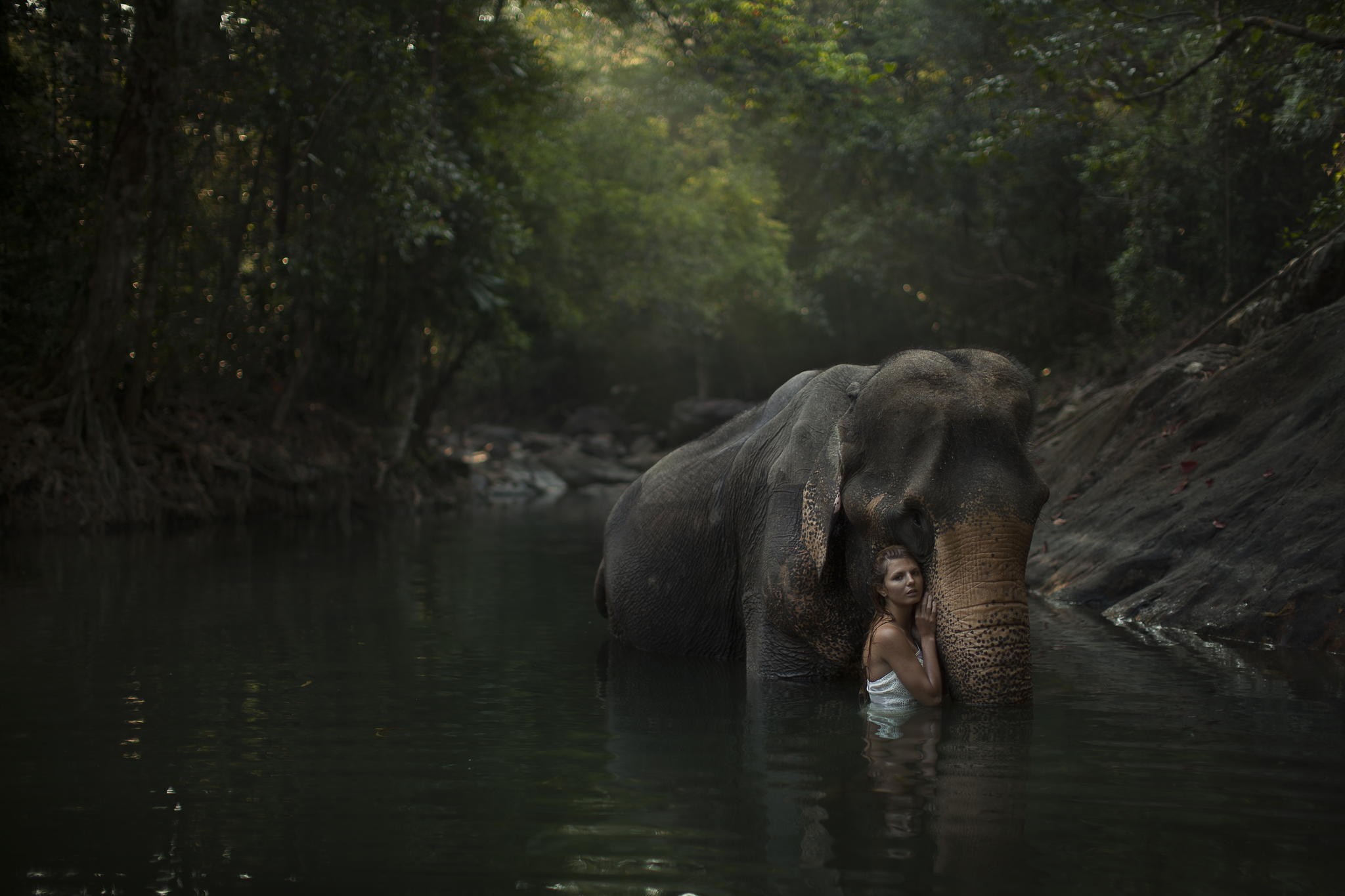 People 2048x1365 women model brunette women outdoors nature water elephant wet animals trees forest jungle river