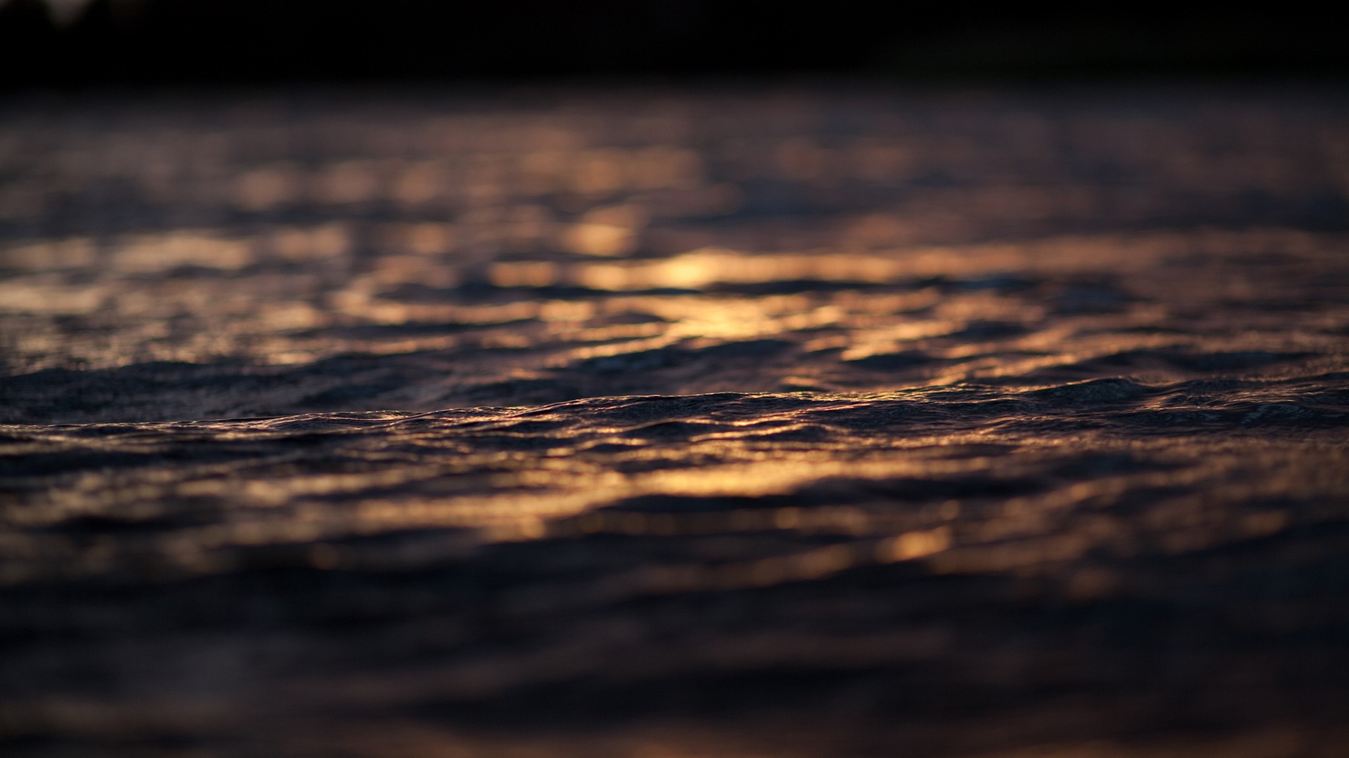 General 1920x1080 sea water depth of field sunlight nature outdoors