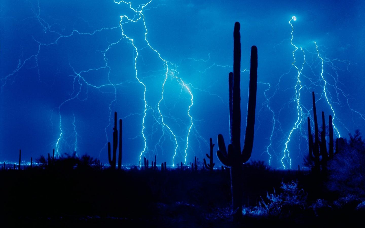 General 1440x900 desert landscape storm night blue lightning cactus nature sky