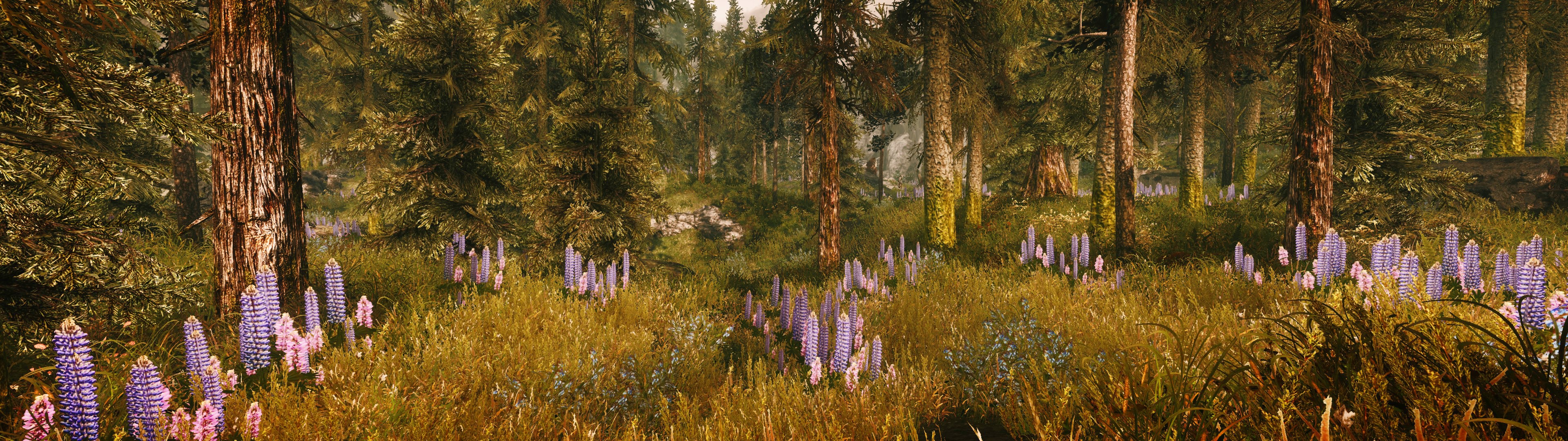 General 3840x1080 The Elder Scrolls V: Skyrim multiple display landscape grass RPG video games PC gaming screen shot
