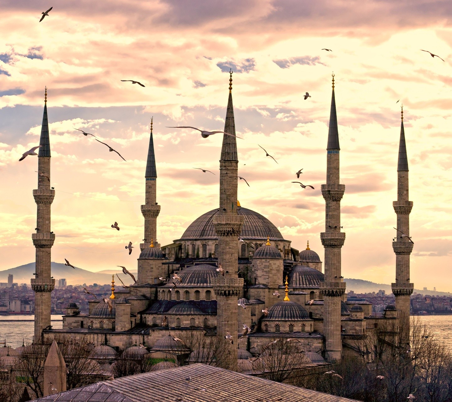 General 1440x1280 Hagia Sophia architecture building birds landmark Turkey World Heritage Site Asia