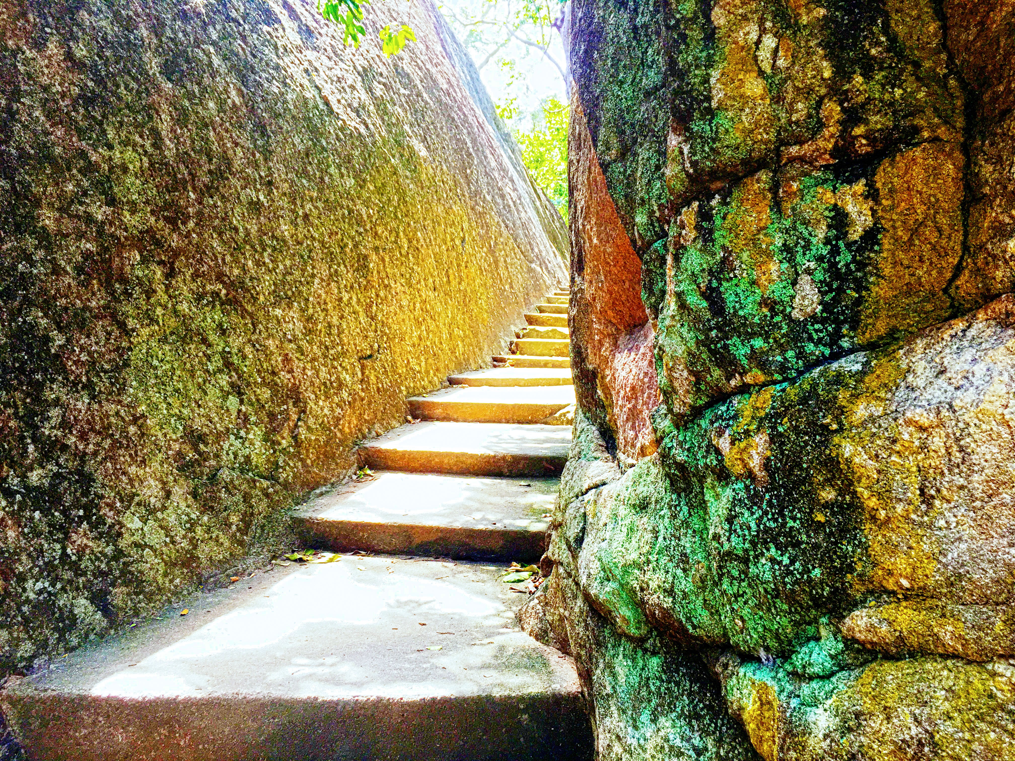 General 4032x3024 rock stairs trees photography