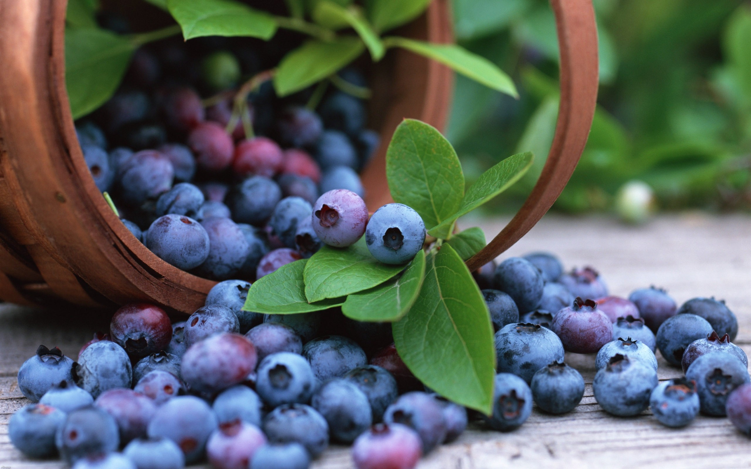 General 2560x1600 fruit berries blueberries leaves baskets food closeup