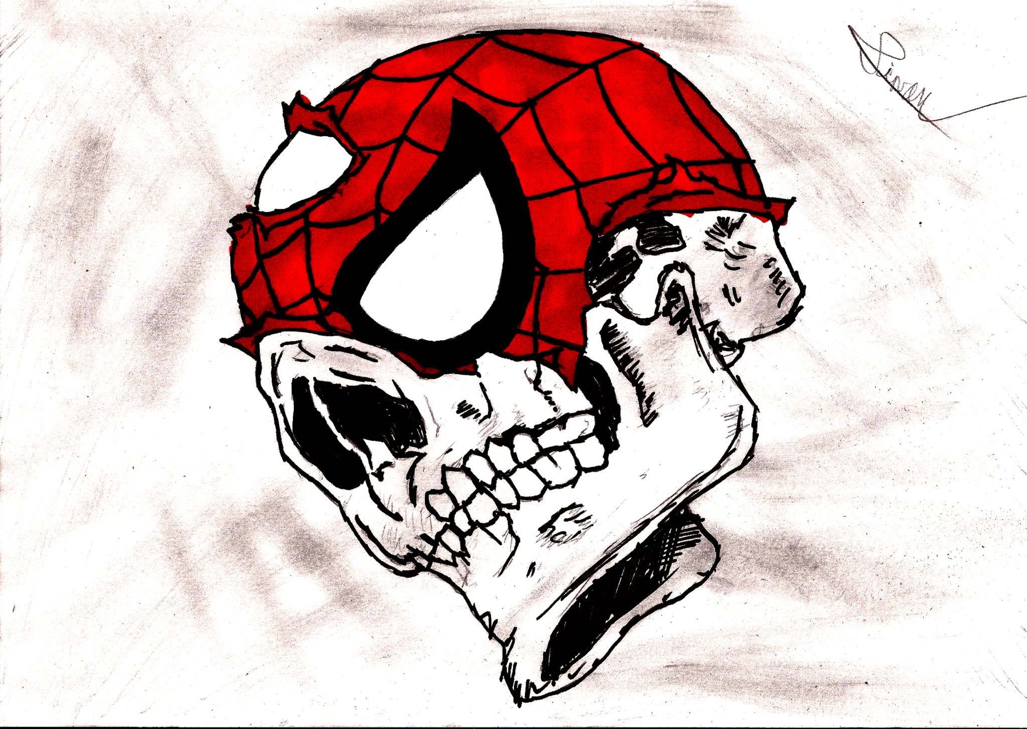 General 2048x1455 skull Spider-Man death drawing white white background red digital art closeup