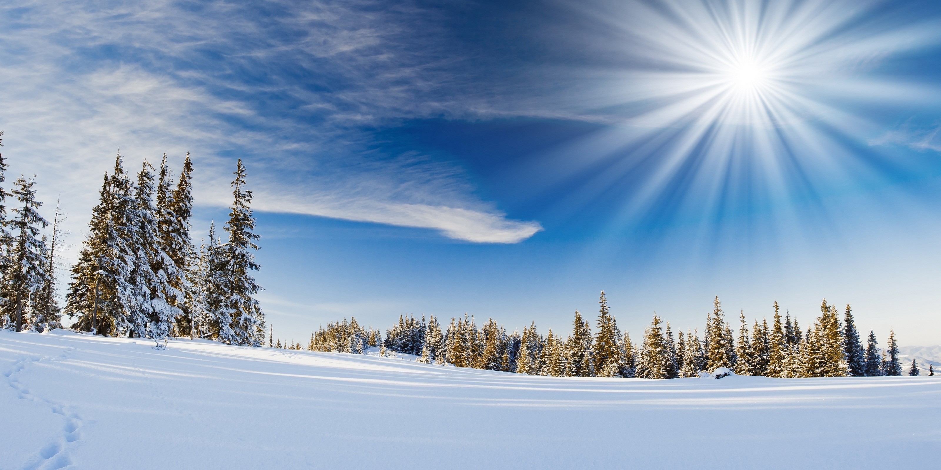 General 3200x1600 landscape winter trees Sun snow outdoors nature