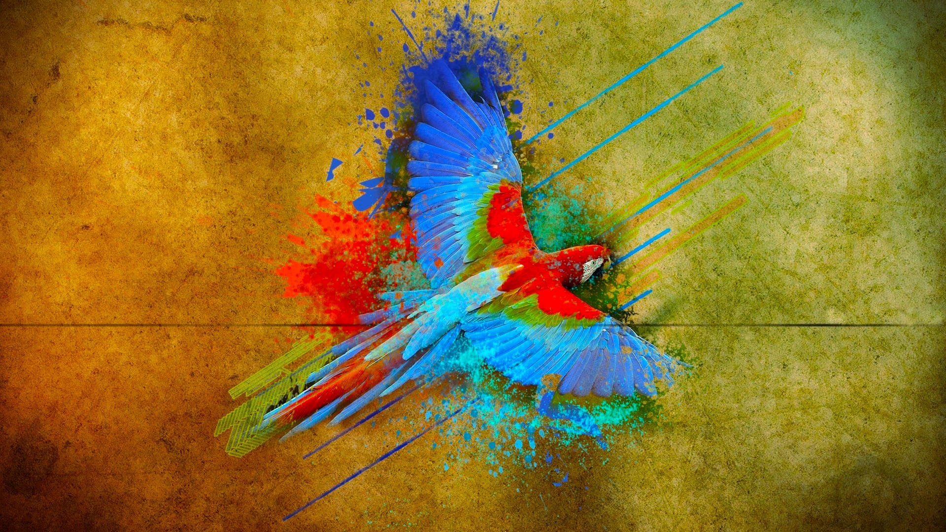 General 1920x1080 parrot birds colorful flying animals artwork