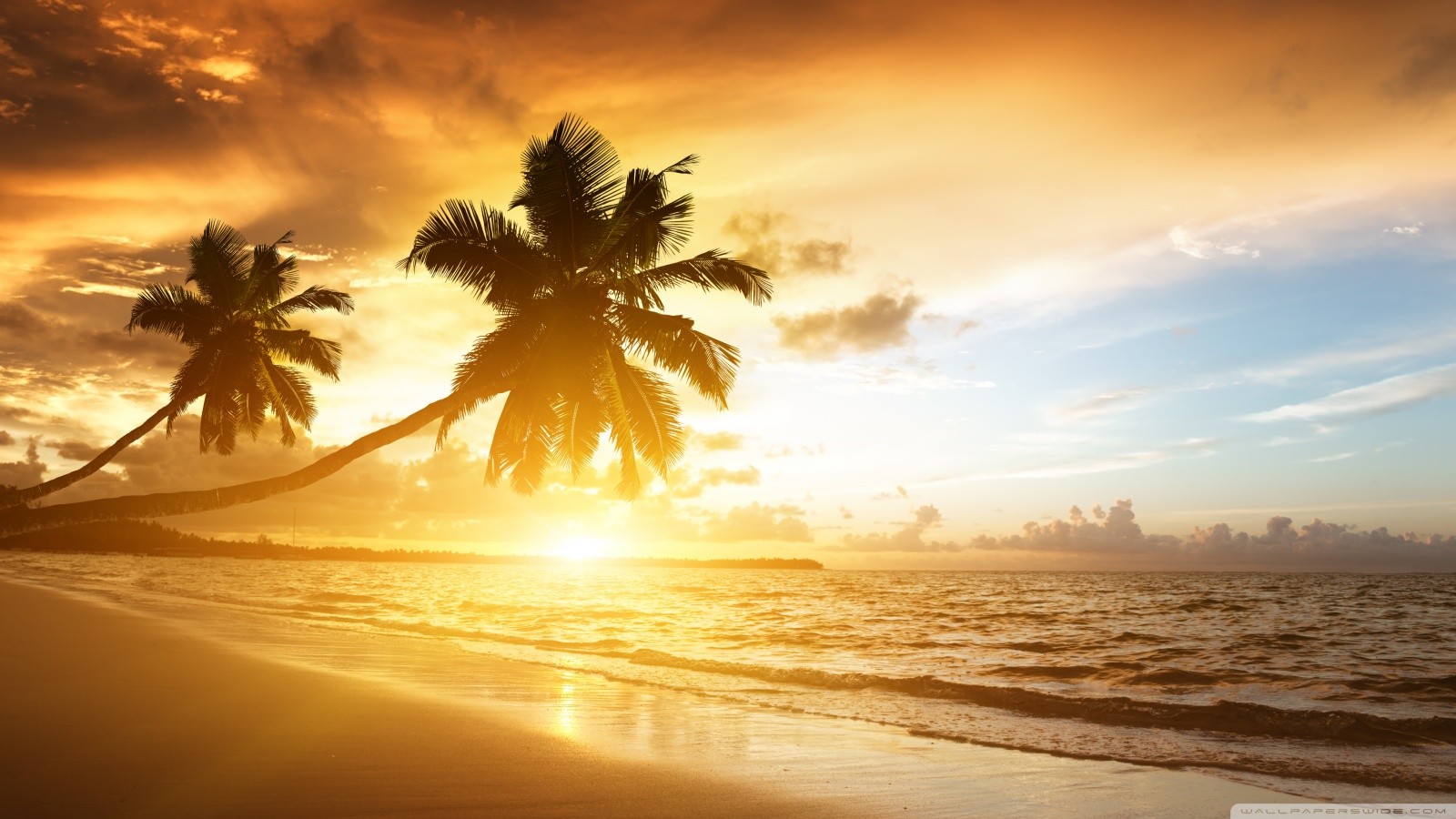 General 1600x900 sea palm trees yellow sunset beach outdoors sunlight sky