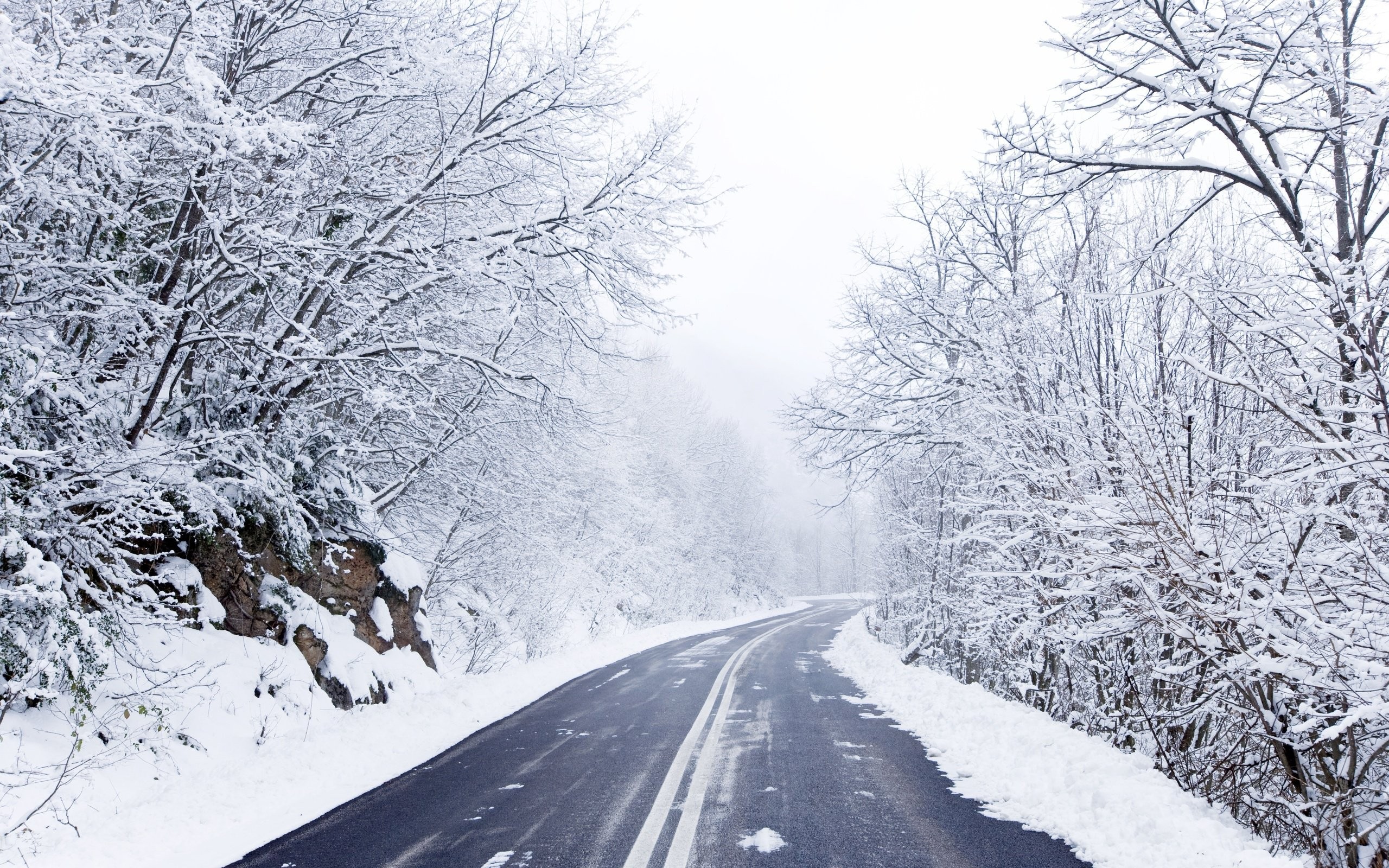 General 2560x1600 road winter forest asphalt outdoors cold snow ice