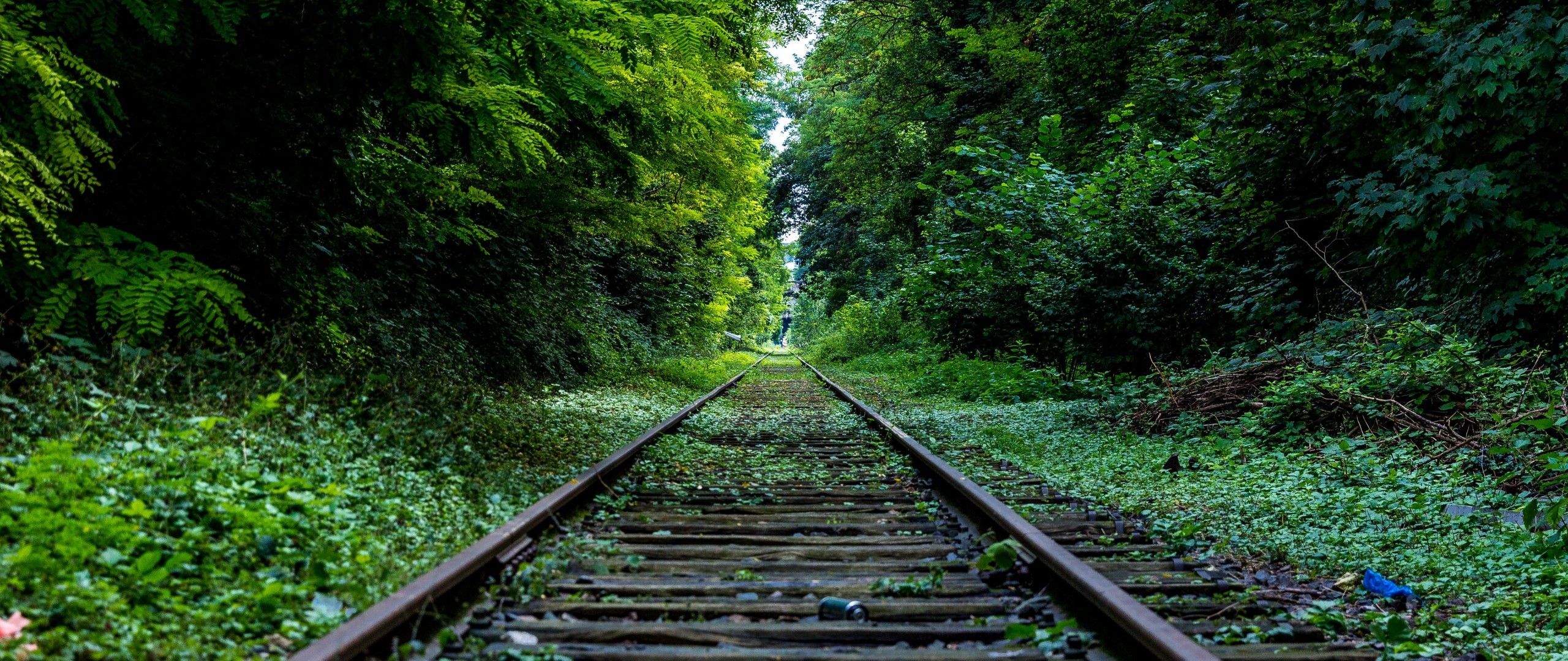 General 2560x1080 railway forest green abandoned outdoors
