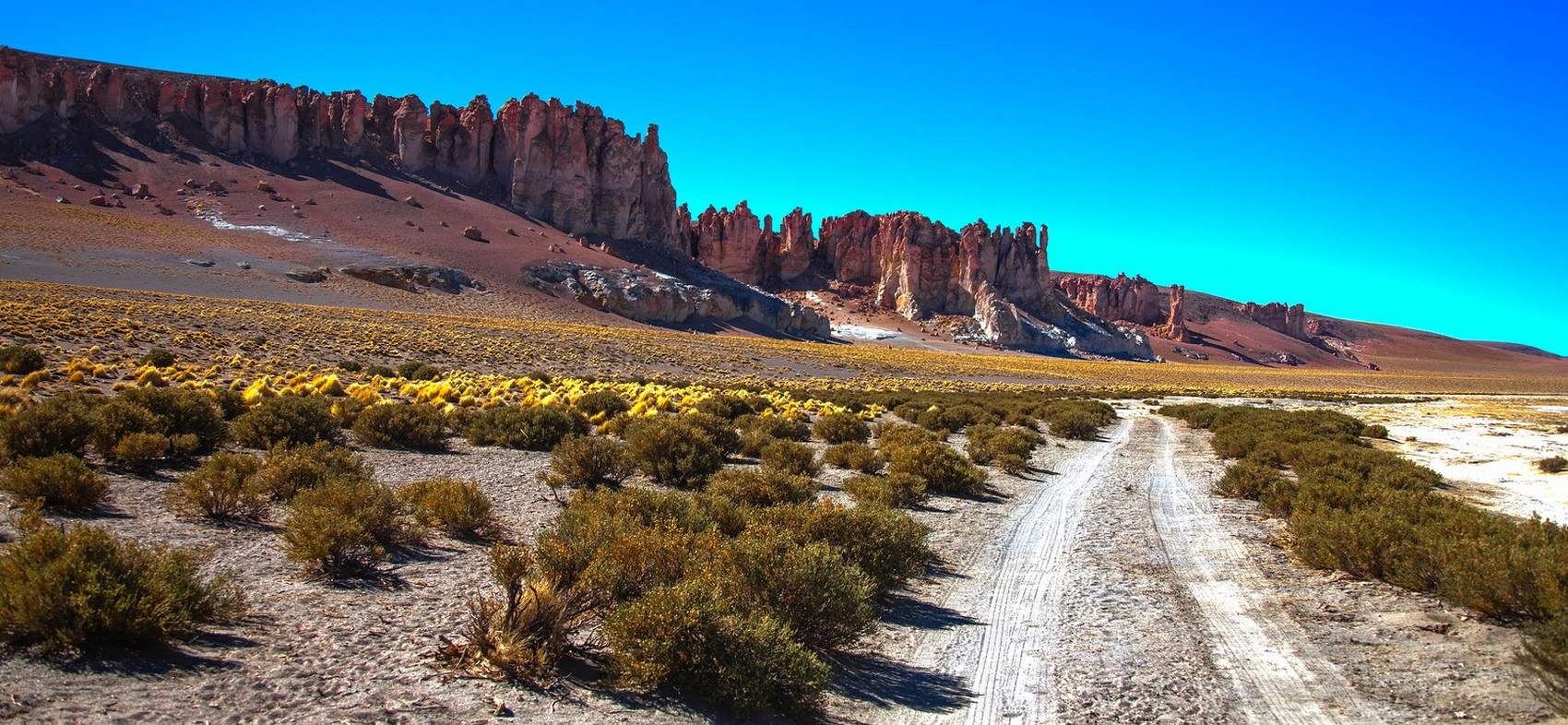 General 1700x786 nature landscape Atacama Desert shrubs panorama Chile dirt road rocks shrubbery desert South America