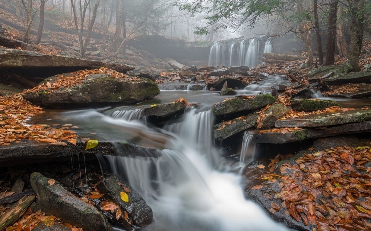 General 1230x768 morning mist waterfall leaves forest Pennsylvania nature landscape fall trees USA creeks
