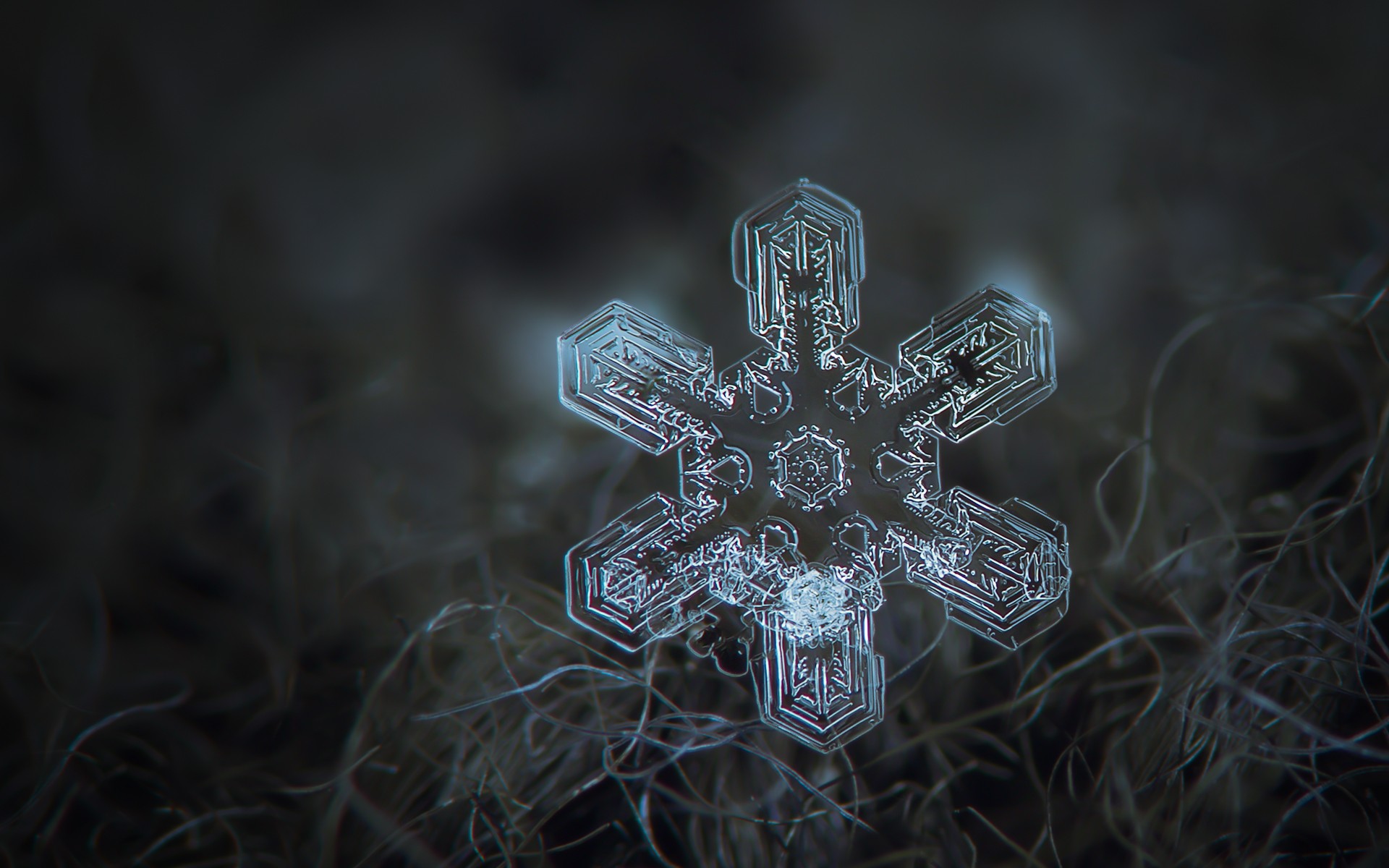 General 1920x1200 snowflakes ice plants macro digital art