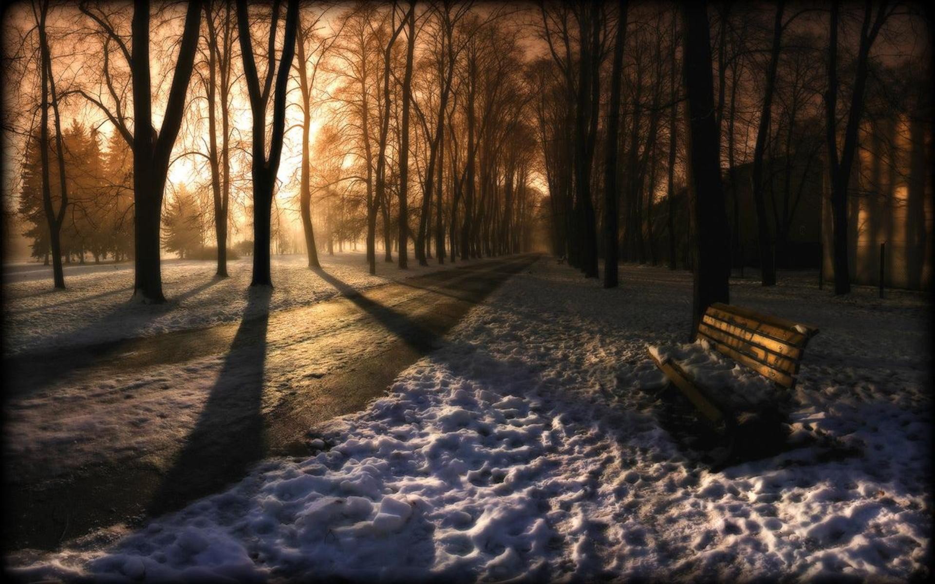 General 1920x1200 snow bench trees sunlight cold winter outdoors